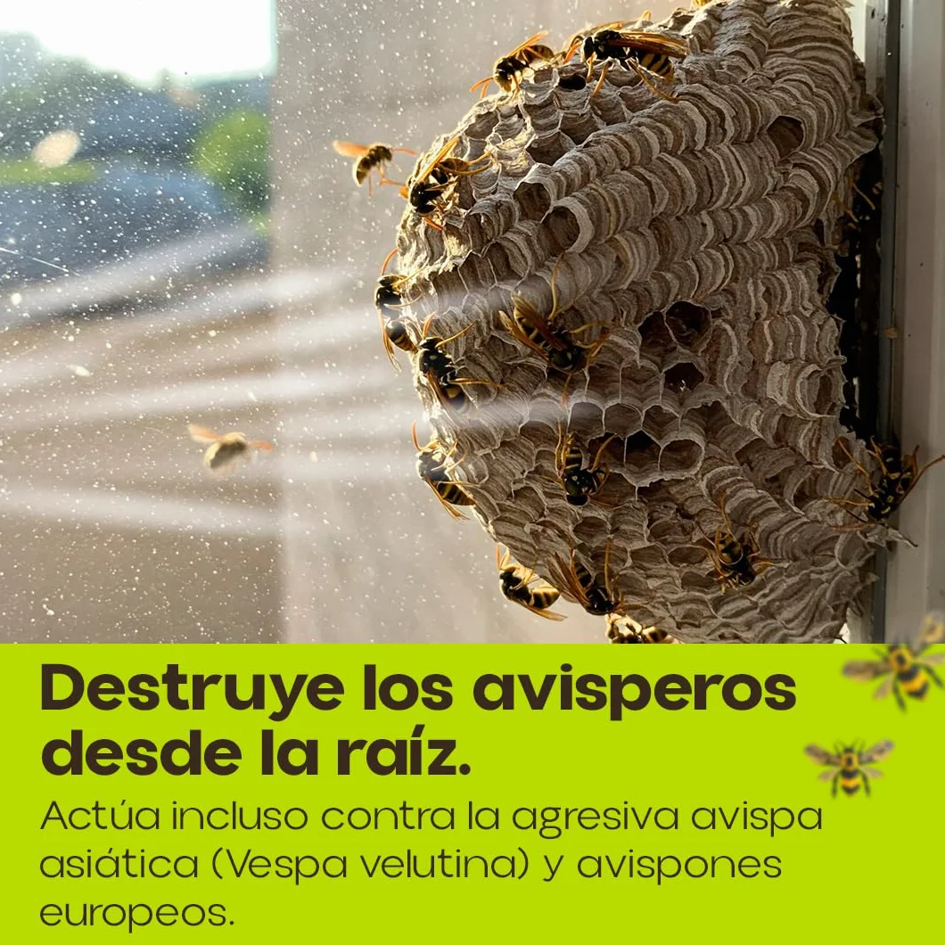 PREBEN Insecticida Avispas | Especial Avisperos 750 ml | Spray de Largo Alcance | Muy Eficaz para Avispas, Avispas Asiática y Avispones | Pulveriza hasta 4 Metros | Uso Exterior | Nexum Market