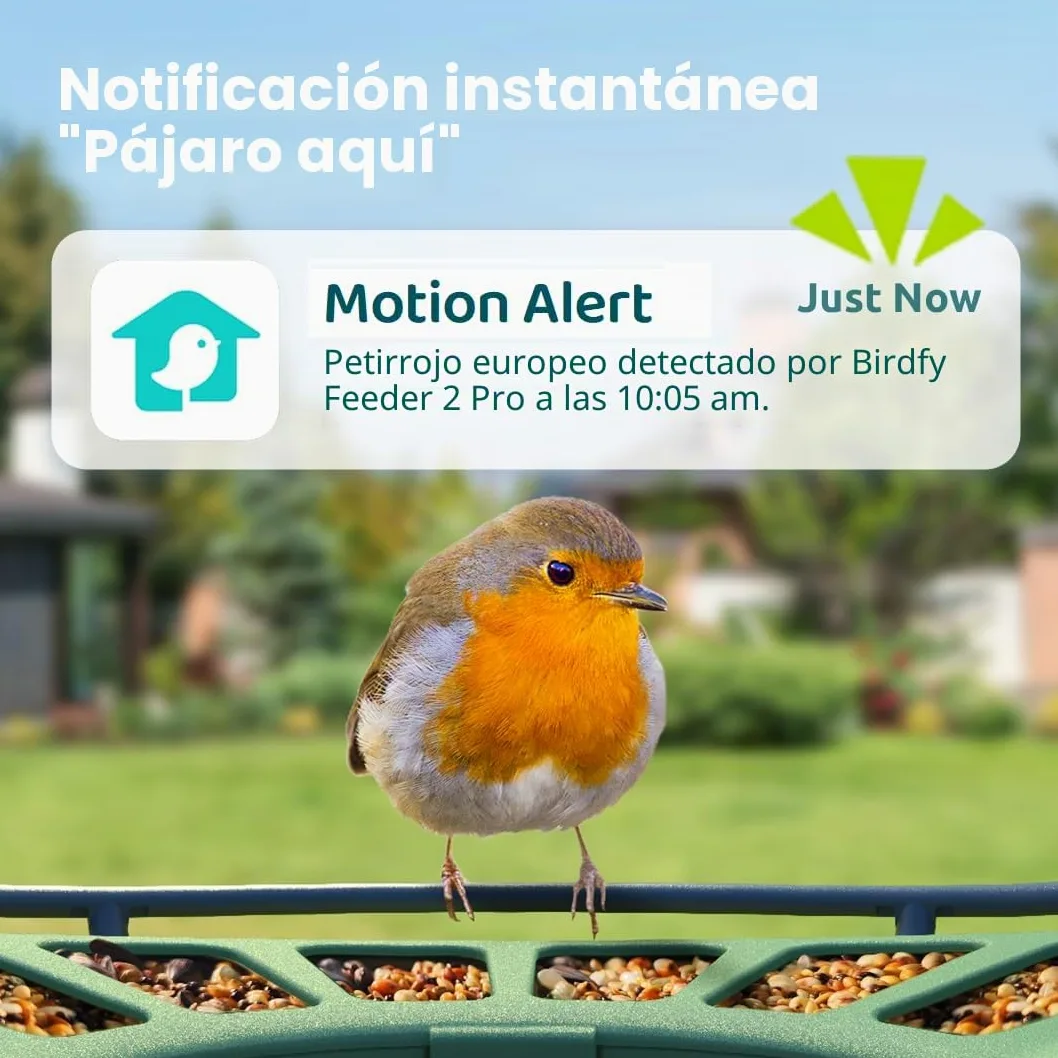 Birdfy 2 Pro - Alimentador de pájaros con 2 K Dual-Camera para observación, identificación de Especies de Aves AI, Video a cámara Lenta, visión Nocturna en Color, notificaciones en Tiempo Real