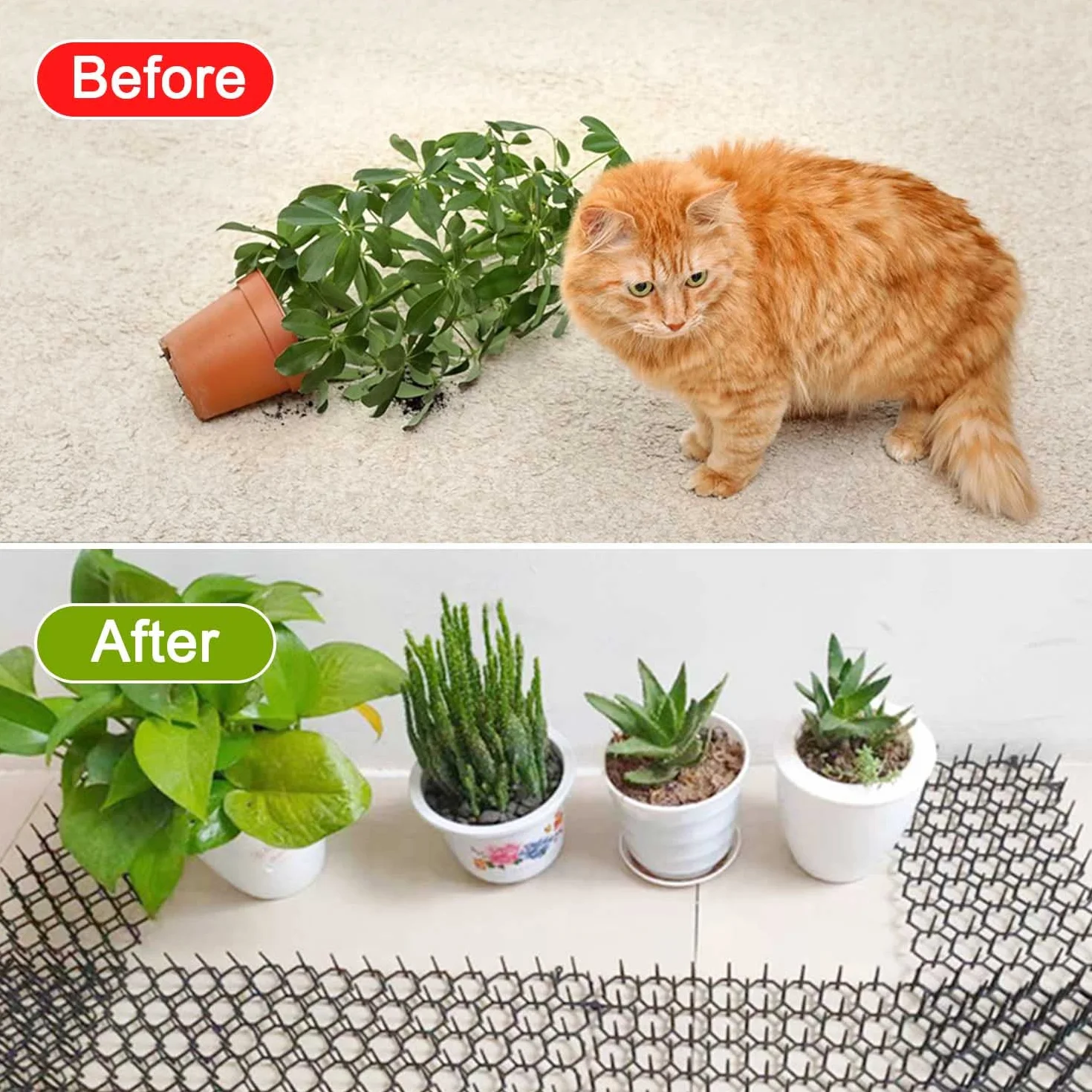 Repelente, 12 Piezas Ahuyentador, Negro Pinchos Anti Gatos, Plástico Repelente Gatos, Auyentar Adecuado para Interior Exterior Césped Jardín Protección de Plantas