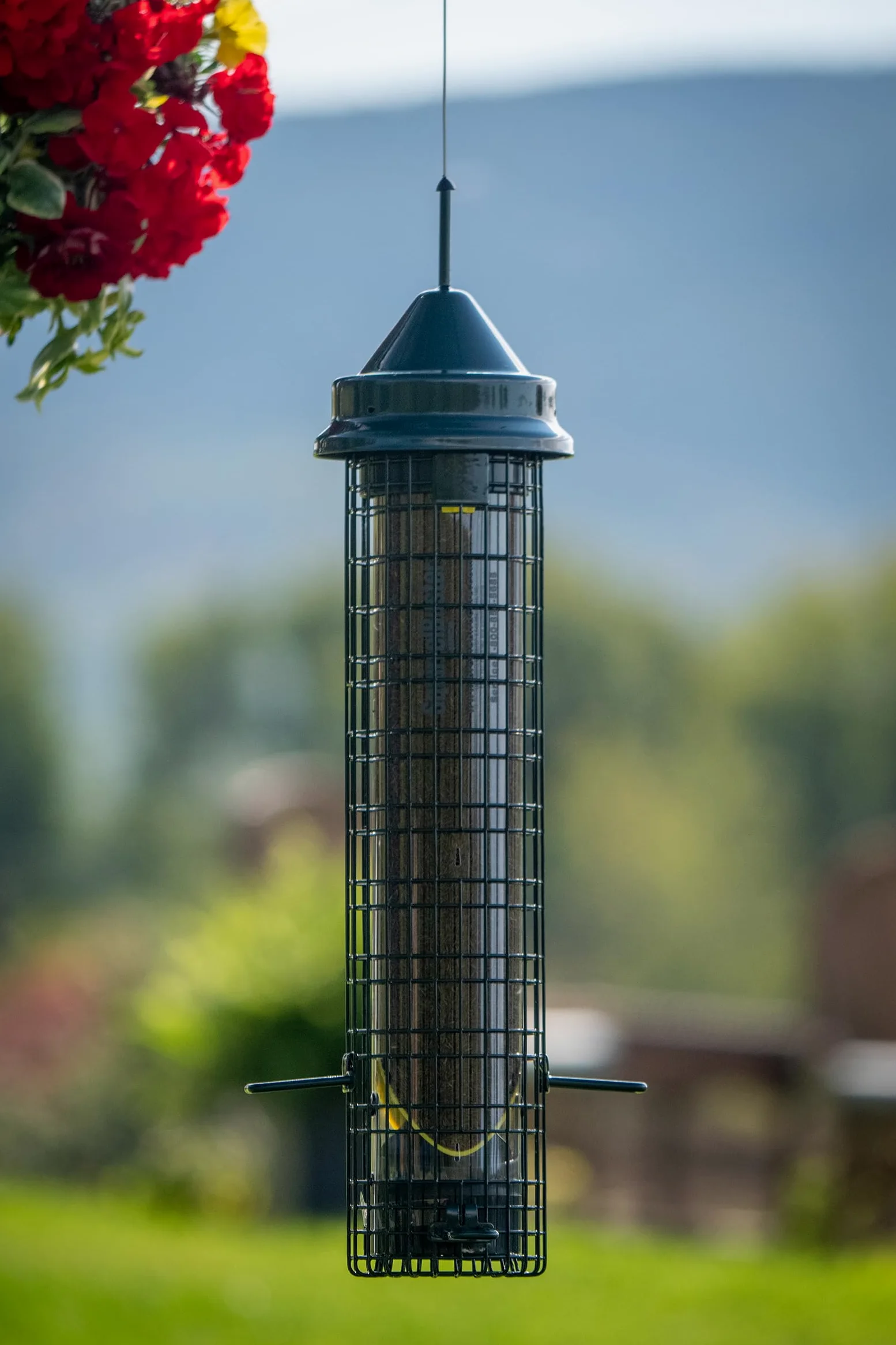 Squirrel Buster Comedero para pájaros a Prueba de Ardillas con 4 Postes de Metal y 8 Aberturas de alimentación, Capacidad de Semillas de Cardo de 2.5 Libras
