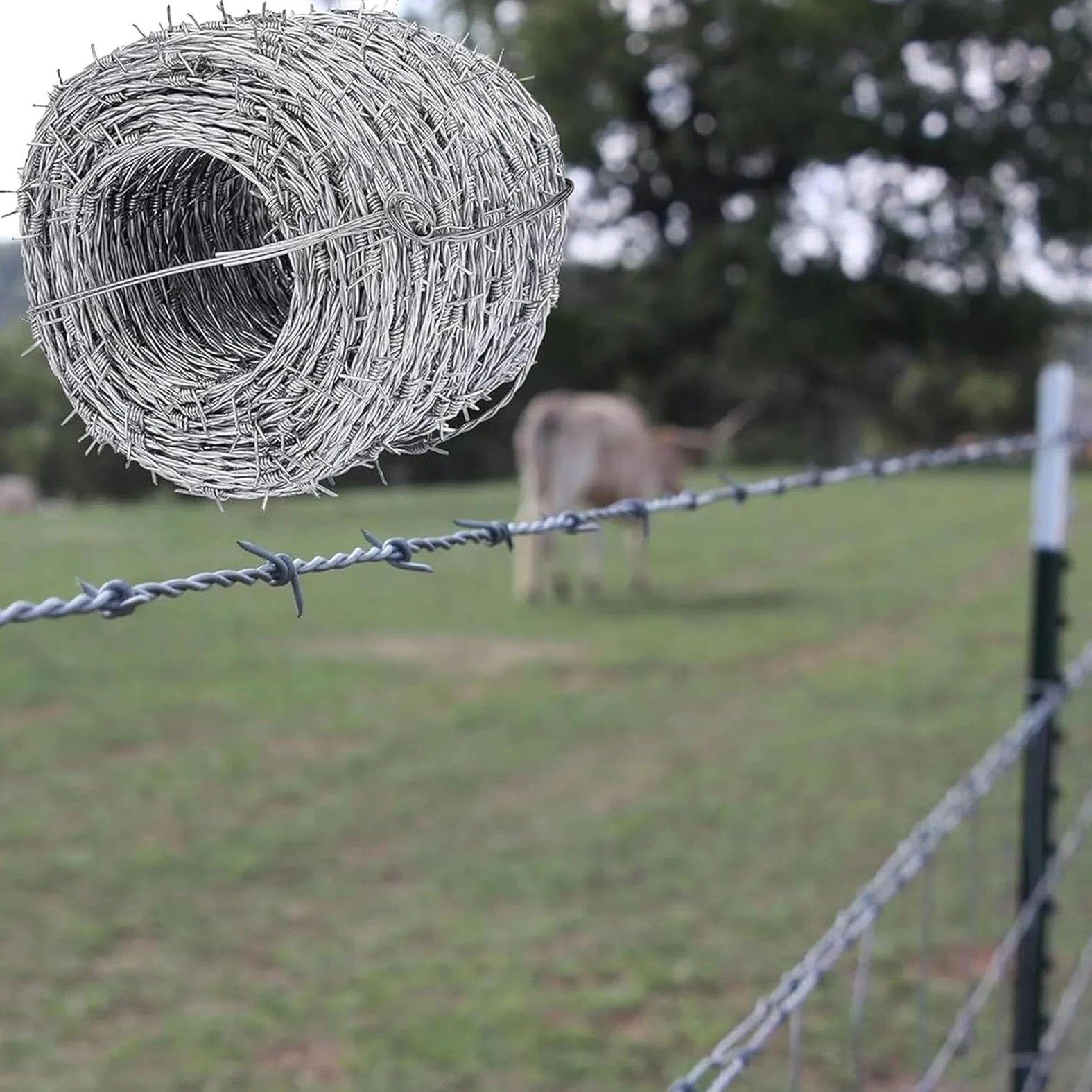Alambre De Espino Galvanizado En Caliente, Rollo De Alambre De Púas, Malla De 2 Hilos/4 Puntas para Refuerzo De Seguridad De Vallados Suministrado En Bobinas (200m/656ft)