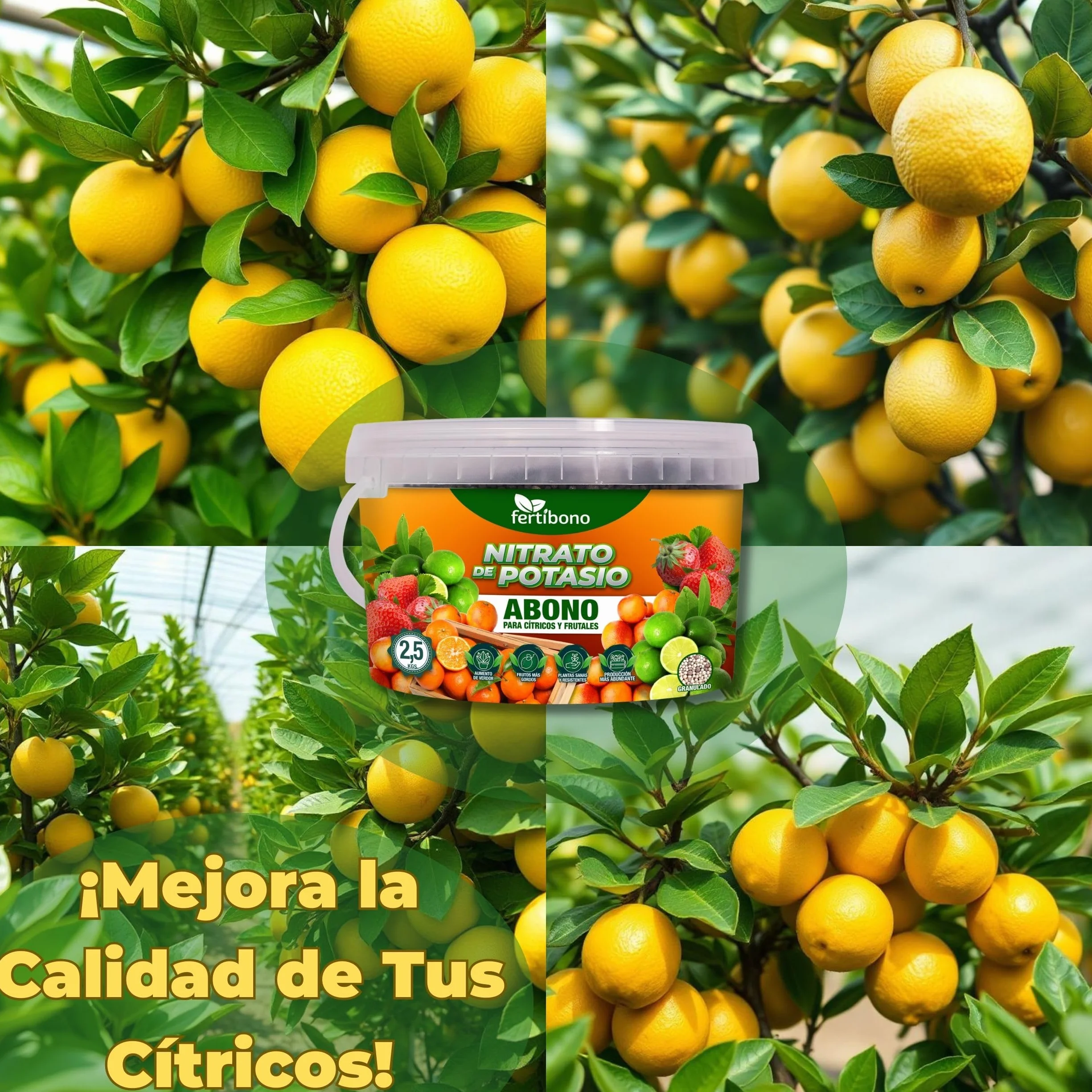 FERTIBONO Nitrato de potasio,Puro (KNO3) 13-00-46, Aumenta el Tamaño y la Calidad de la Fruta, los Azúcares y el Rendimiento de los Cítricos (2.5.0)