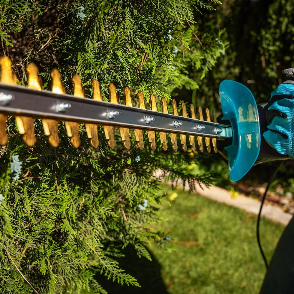 Cecotec Cortasetos Longitud Corte hasta 45cm TitaniumSword 450. 500W, Motor sin Escobillas, Brushless, Cuchillas de Titanio, Ramas hasta 16mm, Mando Rotatorio, Sistema de Encendido de Seguridad