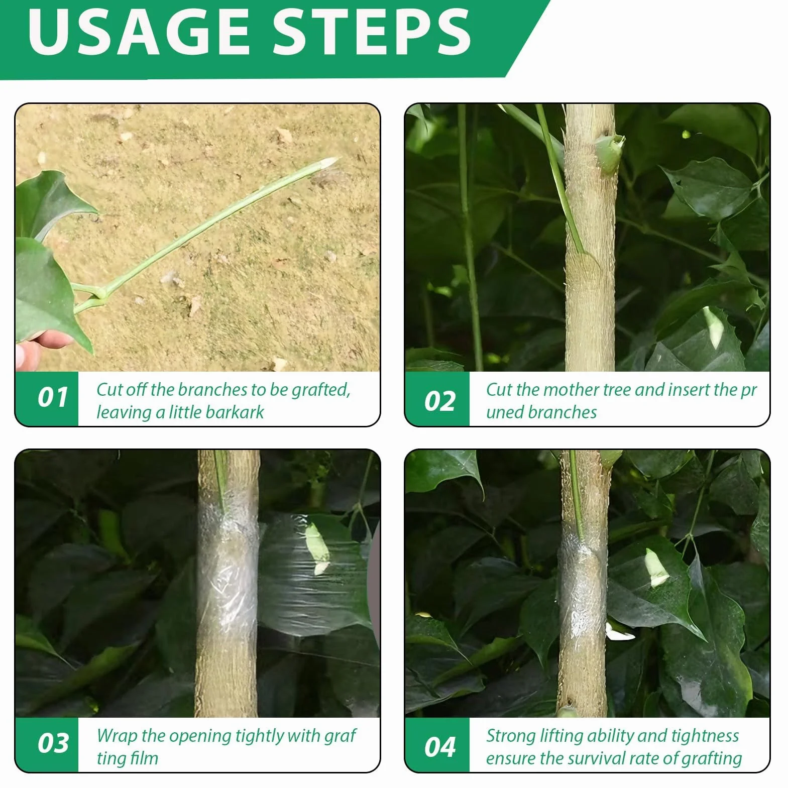 Cinta de Injertar Transparente Árboles de Jardín, 4 Rollos, Biodegradable Cinta Injerto Autoadhesivo, para Árboles Frutales, Plántulas, Flores y Viveros