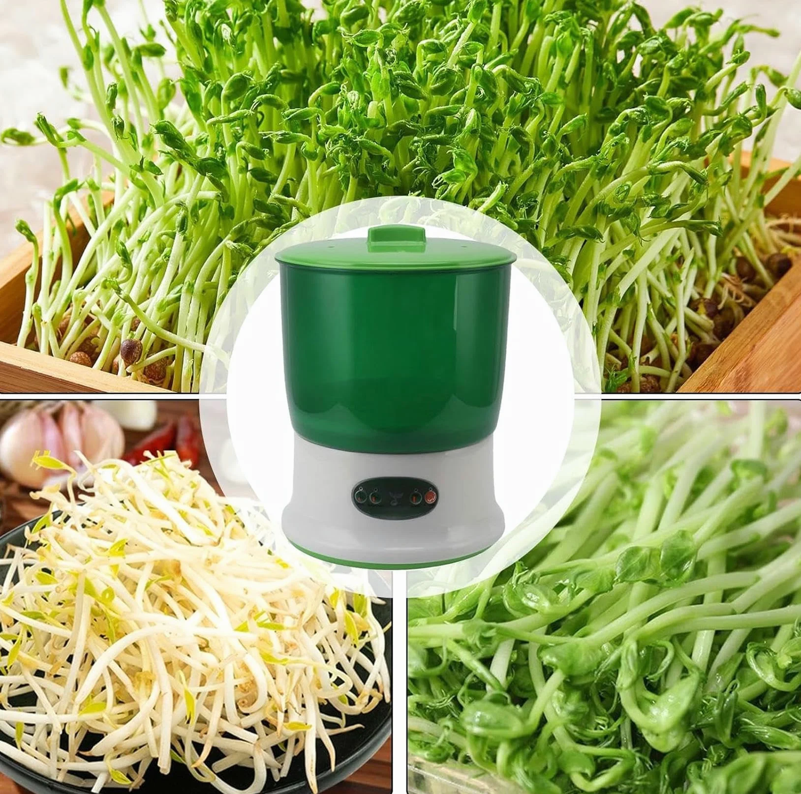 Máquina automática de Cultivo de brotes de Soja | 2 Capas de brotes de Soja | Germinador de Gran Capacidad y Placa de presión para brotes de rábano, Hierba de Trigo y brócoli