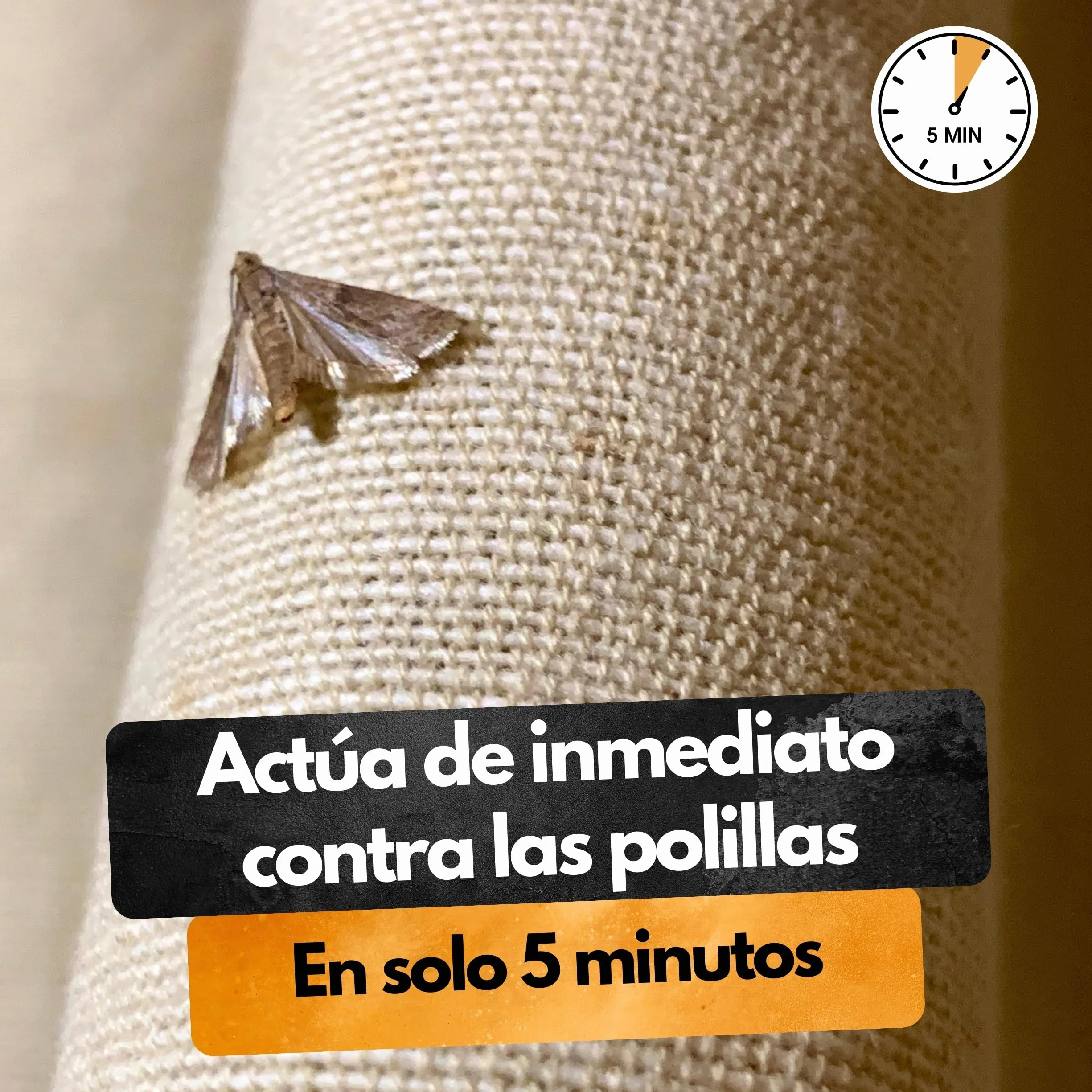 Panteer ® Spray antipolillas 500ml - protección antipolillas contra polillas de los Alimentos y polillas de la Ropa - Lucha contra Las polillas sin permetrina - Fabricado en Alemania