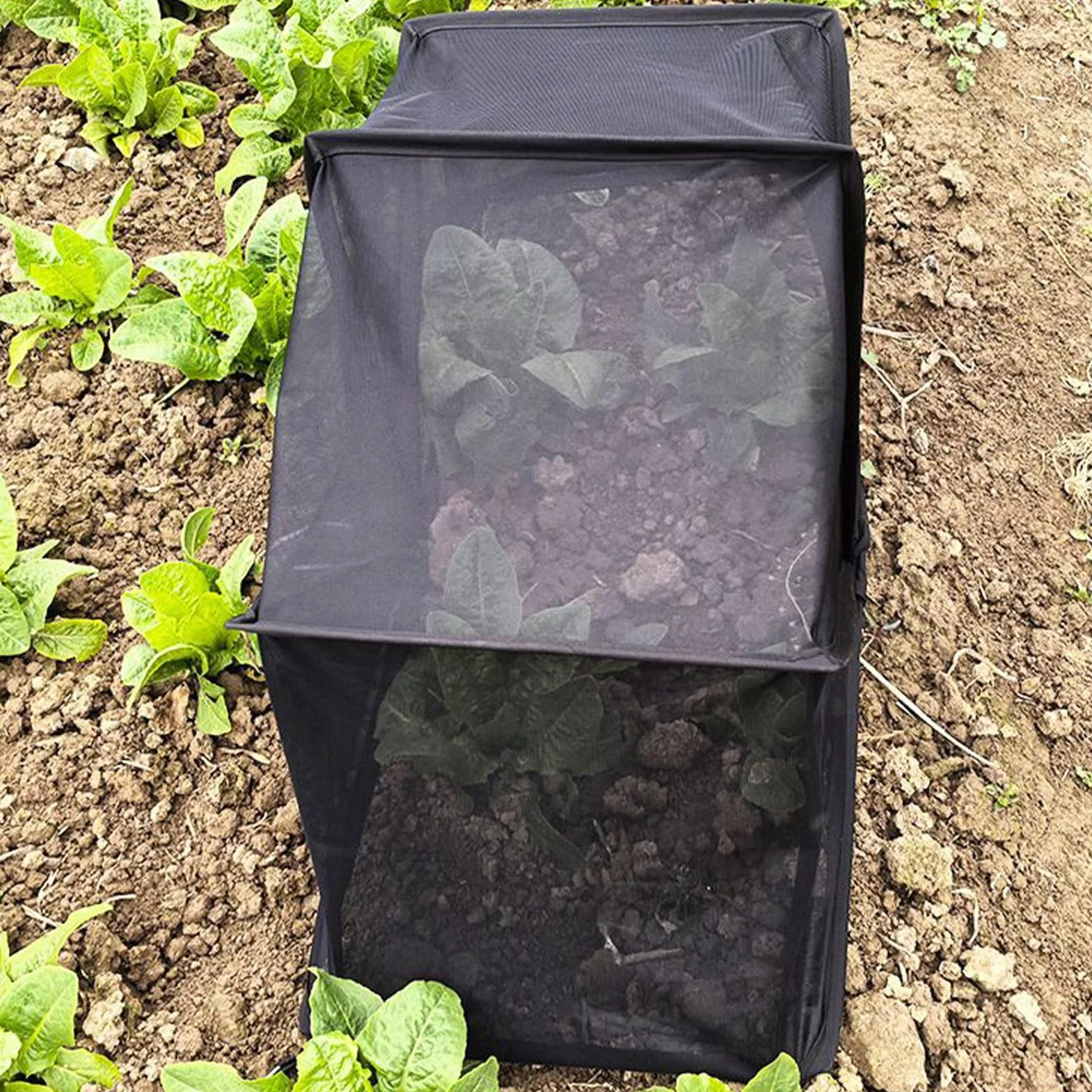 Cubierta para Huerto Elevado contra Animales - Malla Protectora para Semilleros | Malla Protectora de Plantas - para Agricultores Jardineros Cultivos Flores Patio Balcón Granja Invernadero y