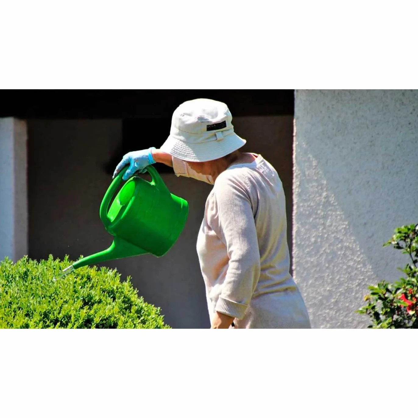 Acan Tradineur - Regadera de plástico, Modelo Azahar, fácil llenado, Ligera y versátil, regar Plantas, Flores, Interior y Exterior, jardín, Fabricada en España (Color Aleatorio - 12 litros)