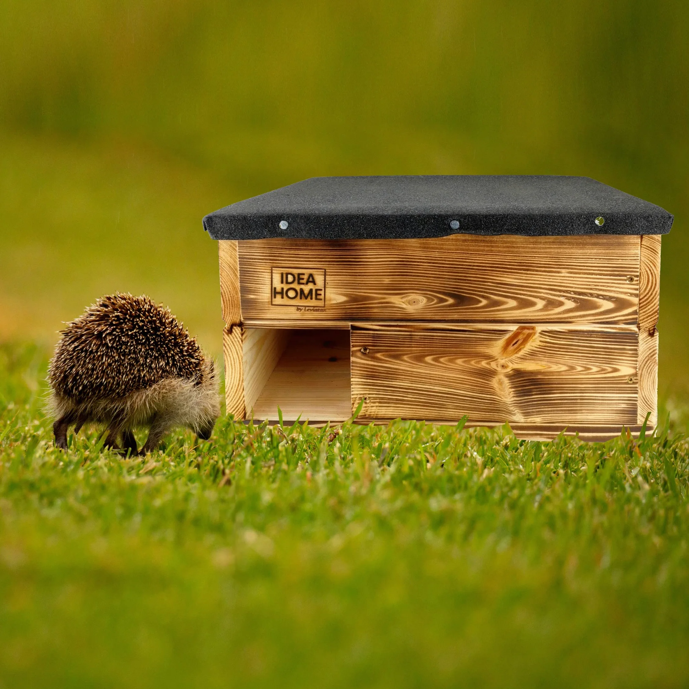 LEVIATAN - Casa para Erizos con Suelo de Madera, Casa para Todo el Año, Resistente a la Intemperie, Perfecto para el Jardín, Cartier de Invierno