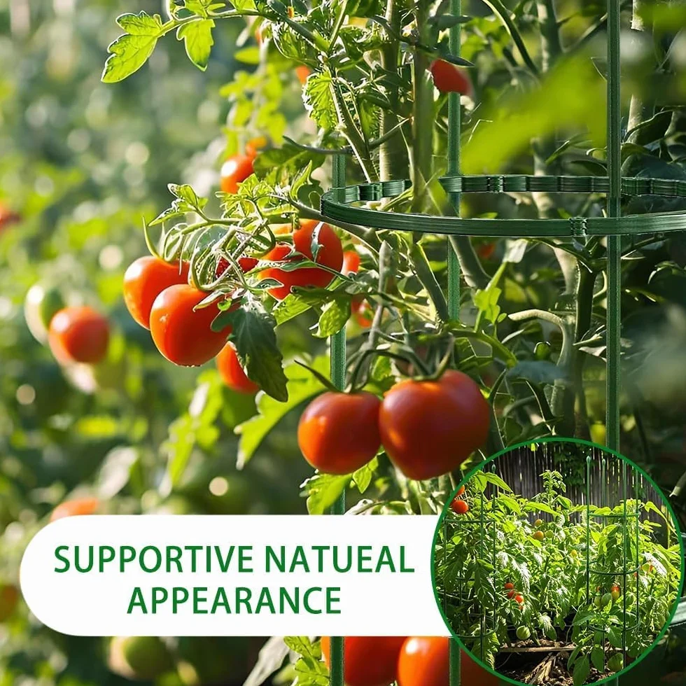 Tutores para Plantas,141 Piezas Soporte para Plantas trepadoras Exterior,Tomaten Rankhilferetirable Tutor Tomate,Enrejado Tomate,para Verduras Plantas Flores Enredadera Pflanzen Tomaten Rankhilfe
