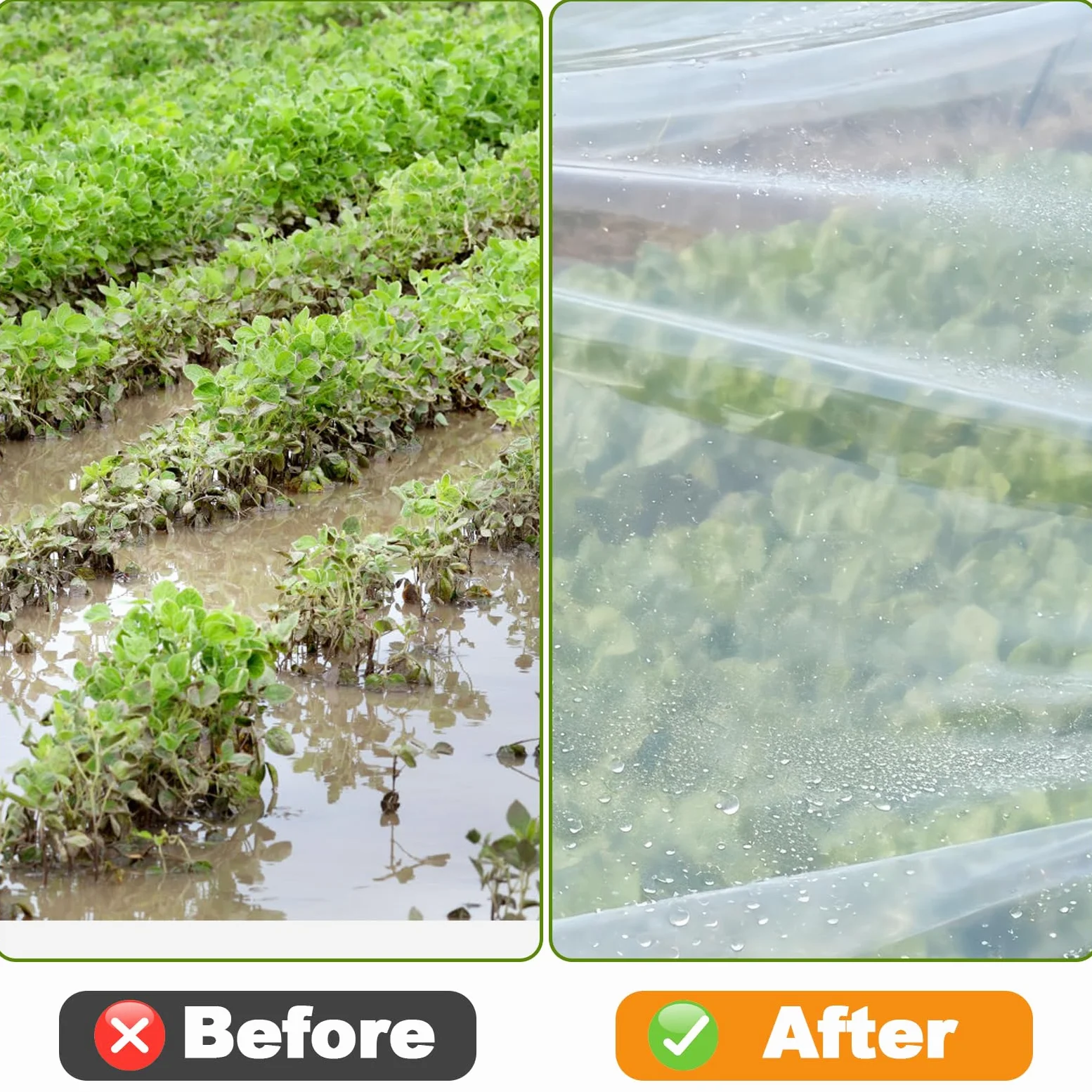 Pumtus Lámina de plástico para invernadero de 10 x 26 pies, película de polietileno transparente resistente a los rayos UV, resistente a los rayos UV, resistente al goteo, heladas, viento y polvo