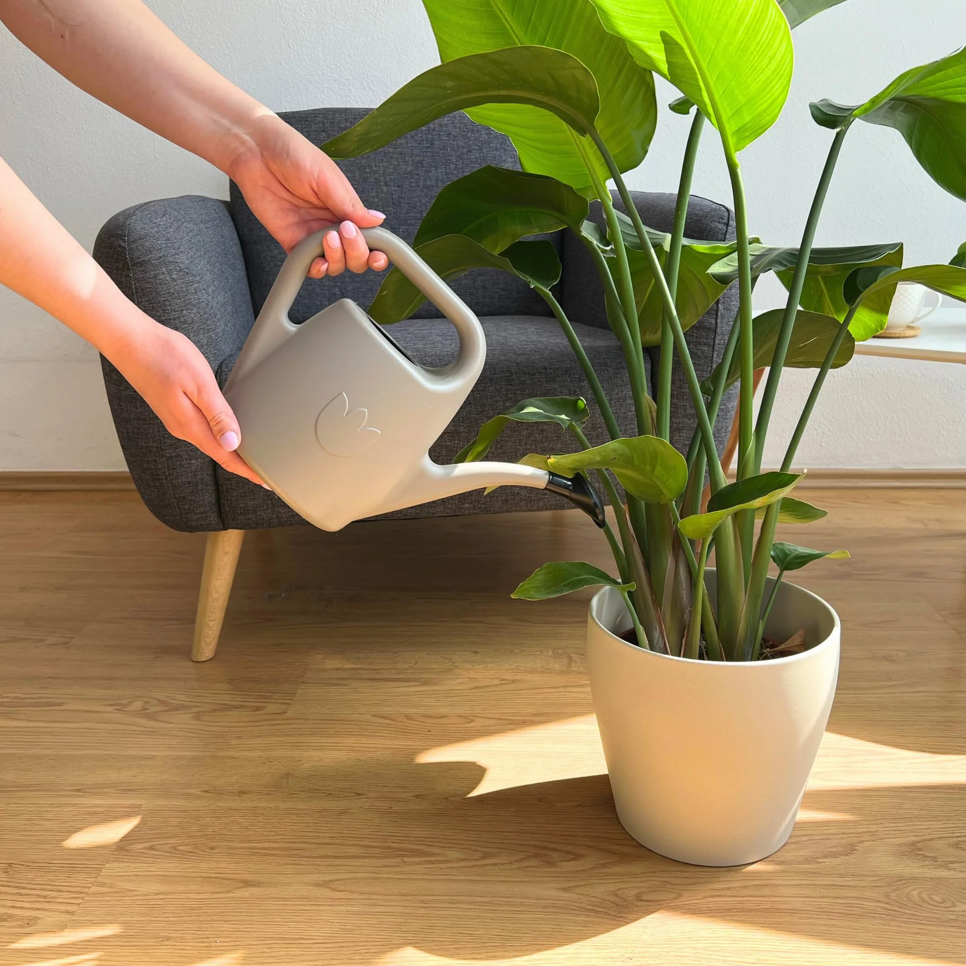 Regadera Pequeña con Alcachofa para Plantas de Interior 2 L – Regadera Plantas con Pico Largo para Riego Fácil – Regaderas Jardín de Plástico, Topo