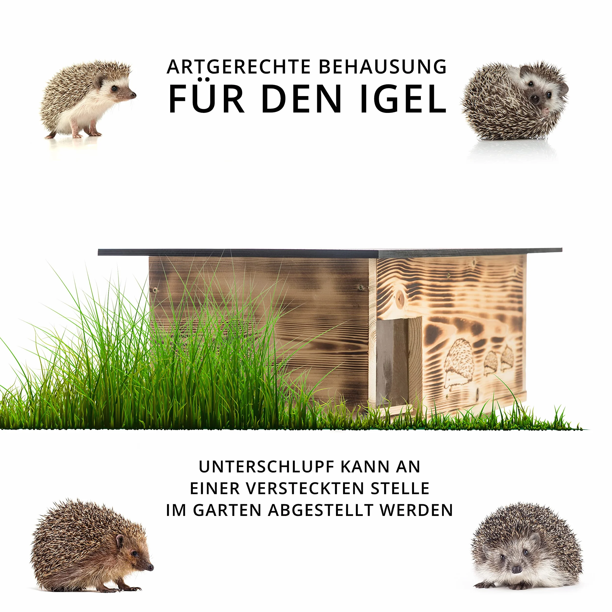 Casa para erizos XXXL, con entrada de laberinto y solapa para ratas, con suelo y apertura de techo extraíble para facilitar la limpieza (quemado)