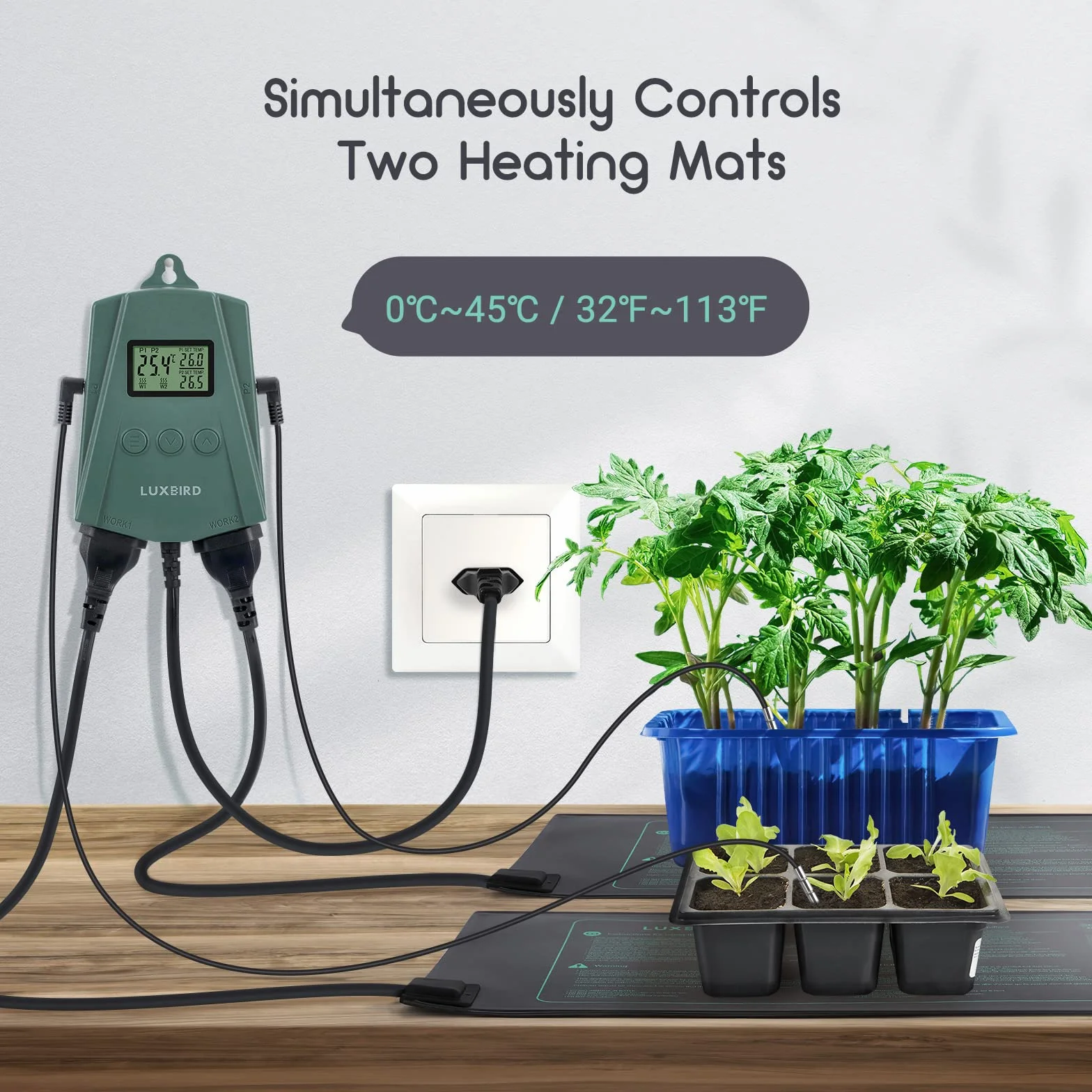 Luxbird Alfombrilla térmica para plántulas y Controlador de termostato, 21W Mantas calefactoras, Esterilla Calefactora para Siembra y Germinación en Interiores 2 Pieza Esterilla calefactora