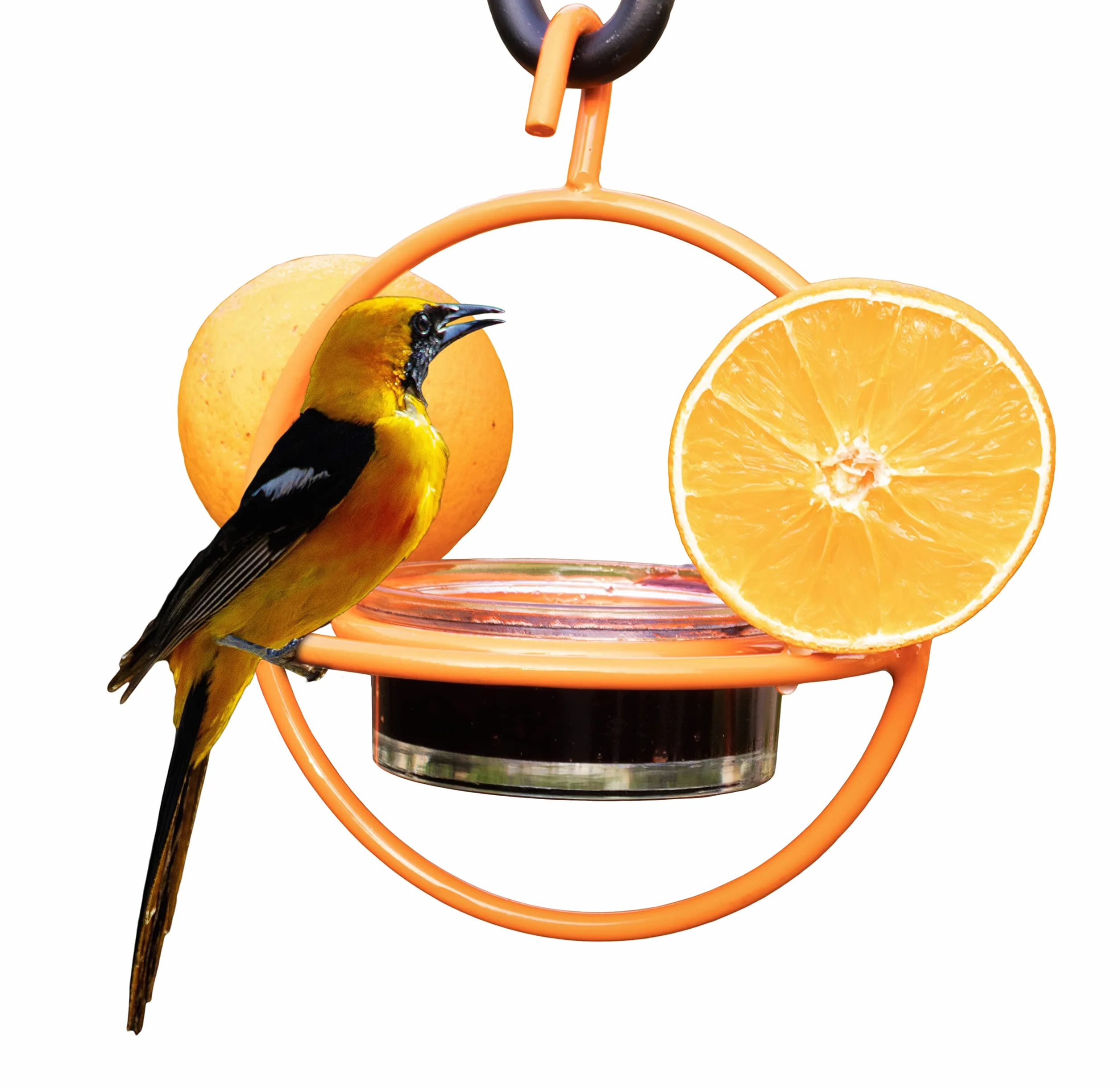 Monarch Abode Comedero Colgante para pájaros Oriole al Aire Libre, Naranja, 18748