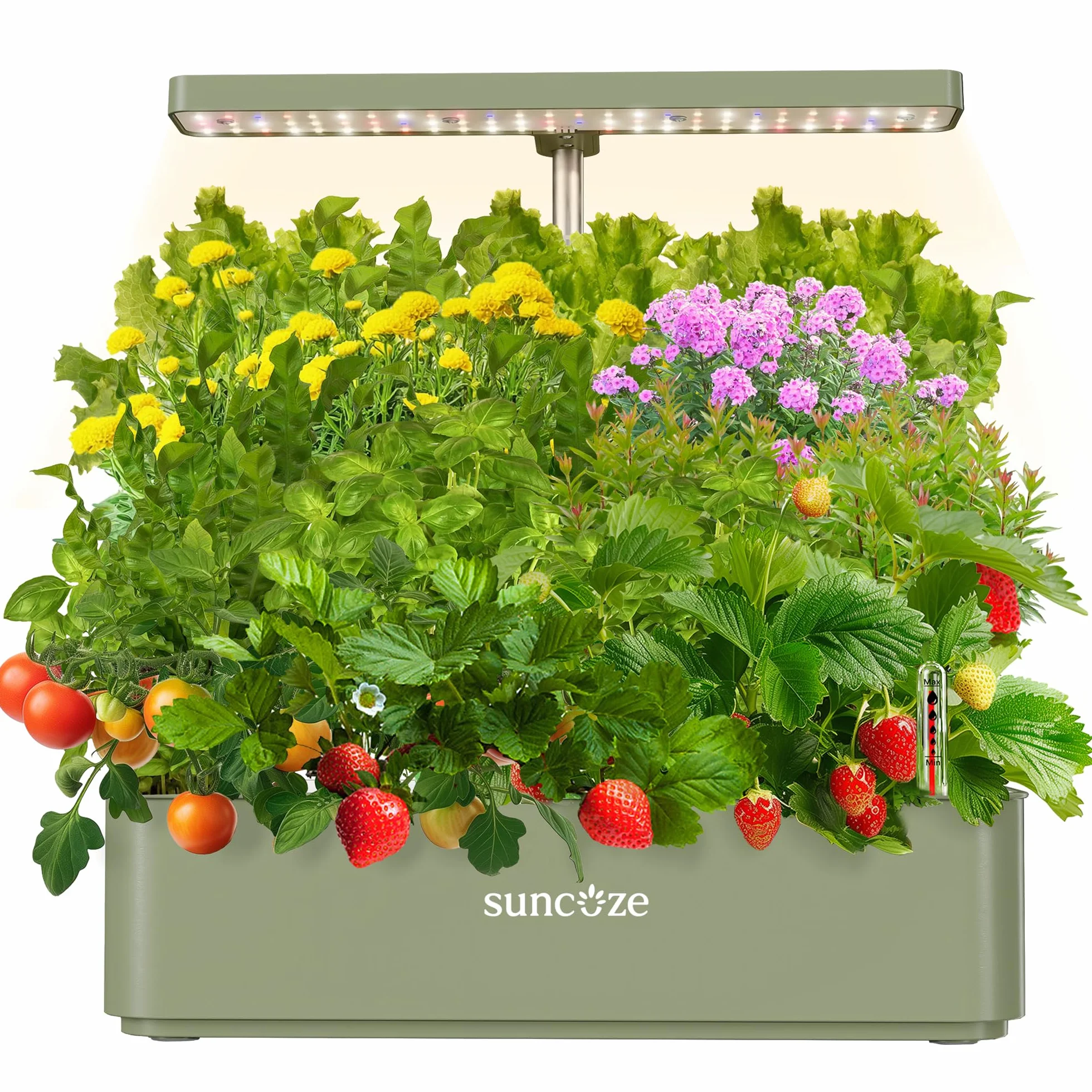 SUNCOZE Sistema de Cultivo Hidropónico Kit de Cultivo Interior con Iluminación LED Automática, Smart Garden 12 Pods, Altura Regulable, depósito de Agua de 4 l, Bomba silenciosa
