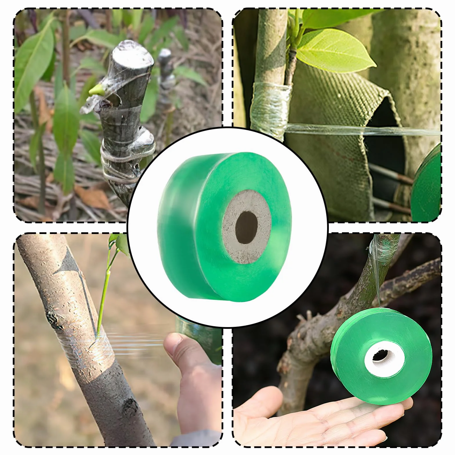 2 Piezas Cinta de Injerto Banda de Injertación 2cm Cinta de Reparación de Plantas Transparente Biodegradable Autoadhesiva Film Injerto Elástica Árbol para Injertar y Reparar Árboles Frutales Verde