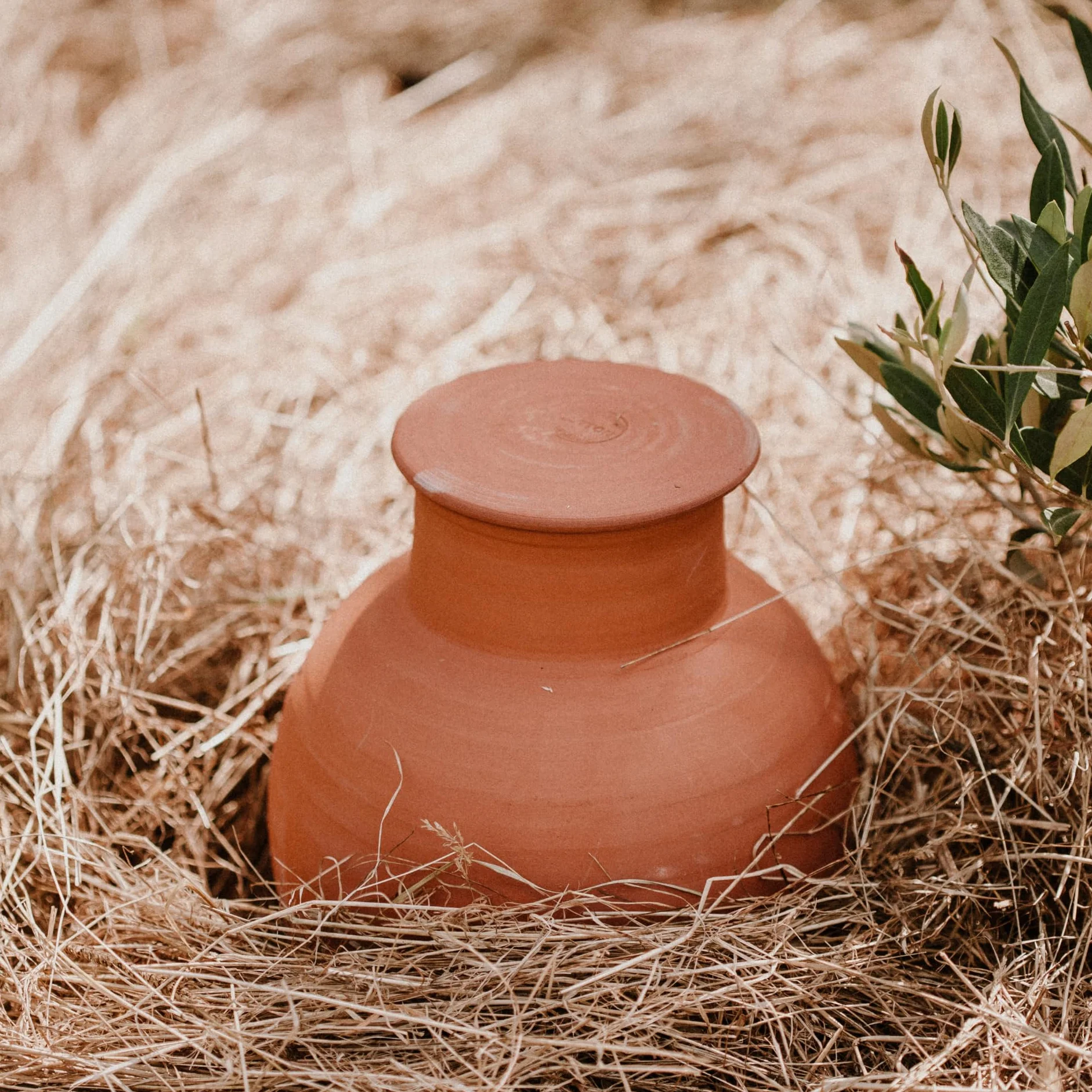 Ollas Lutton Olla Terracota para Enterrar 5L | Riego Automático y Ecológico para Plantas de Exterior | Sistema de Riego Natural | OYA Terracota | Autonomía 7 Días