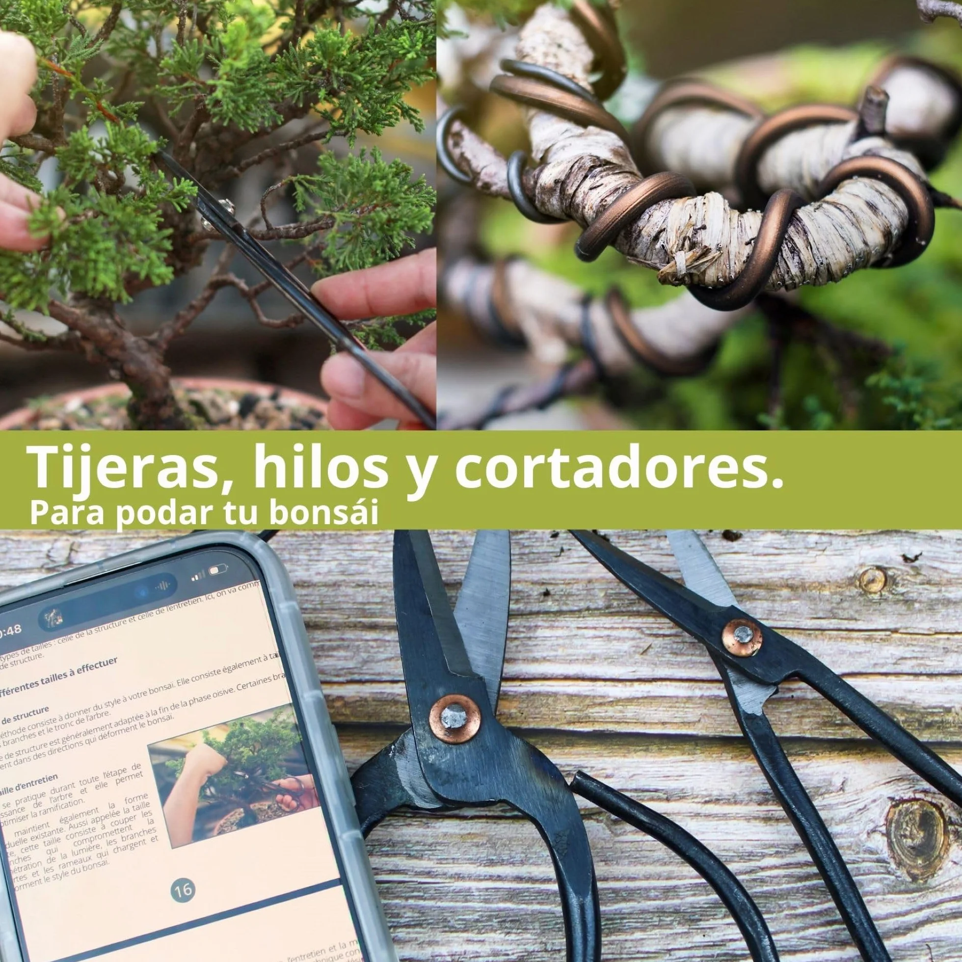 Cultivea® Juego de 32 Herramientas Completas para bonsái - Herramientas de Acero - Jardín - Tijeras para bonsái y Cuidado de Plantas - Tijeras - Alicates - Poda de bonsái - Alambre de Aluminio