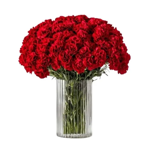 DECOALIVE - Ramo de Clavel - Set 50 Flores Rojas - Bouquet de Flores Naturales