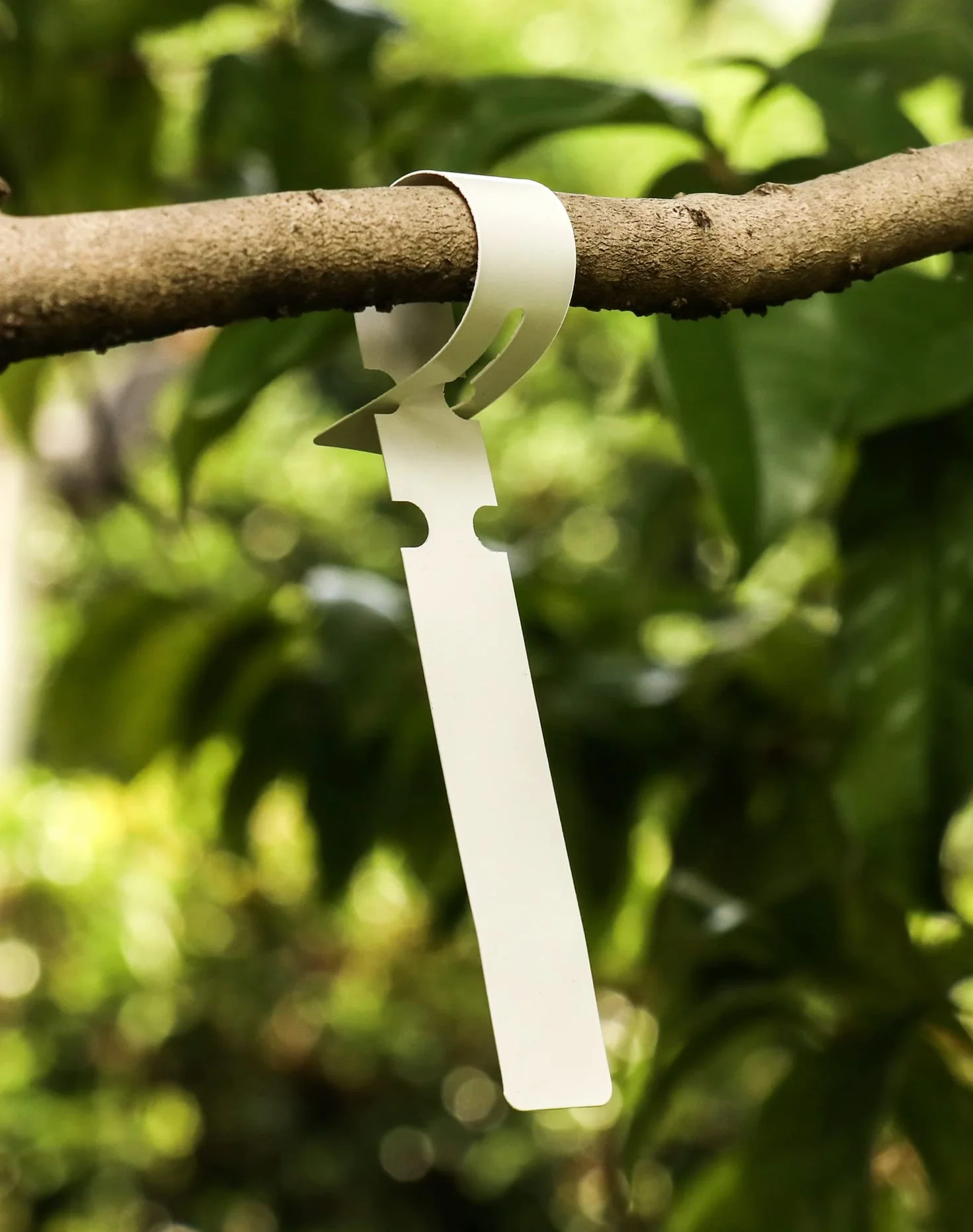 QWORK® 300 Piezas Etiquetas Plantas de Plástico, Etiqueta Jardinería Impermeables, Etiquetas Colgantes Envolventes 2x21cm, Blanco
