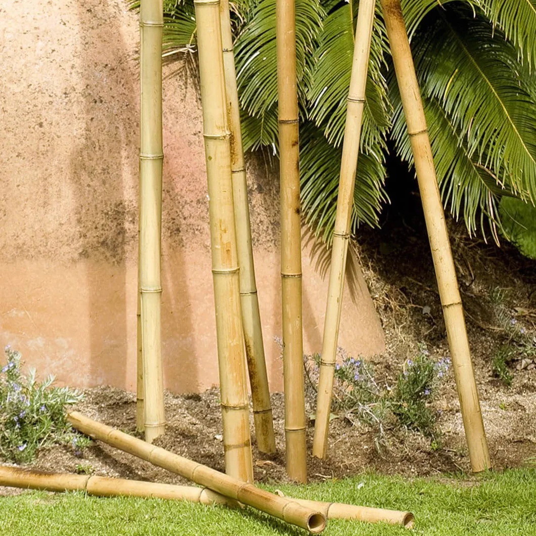Tutor decorativo bamboo deco 35-40 mm 2.4 m nortene