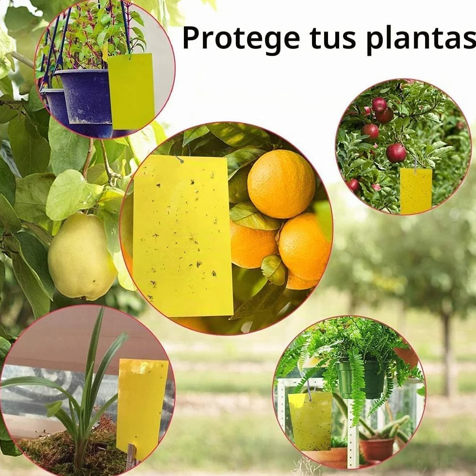 Sunshine smile 40 Piezas Trampa Moscas, Pegatinas Adhesivas de Papel de Mosca Amarillas, atrapamoscas para Plantas, Trampas de Mosca pegajosas (40-Amarillo)