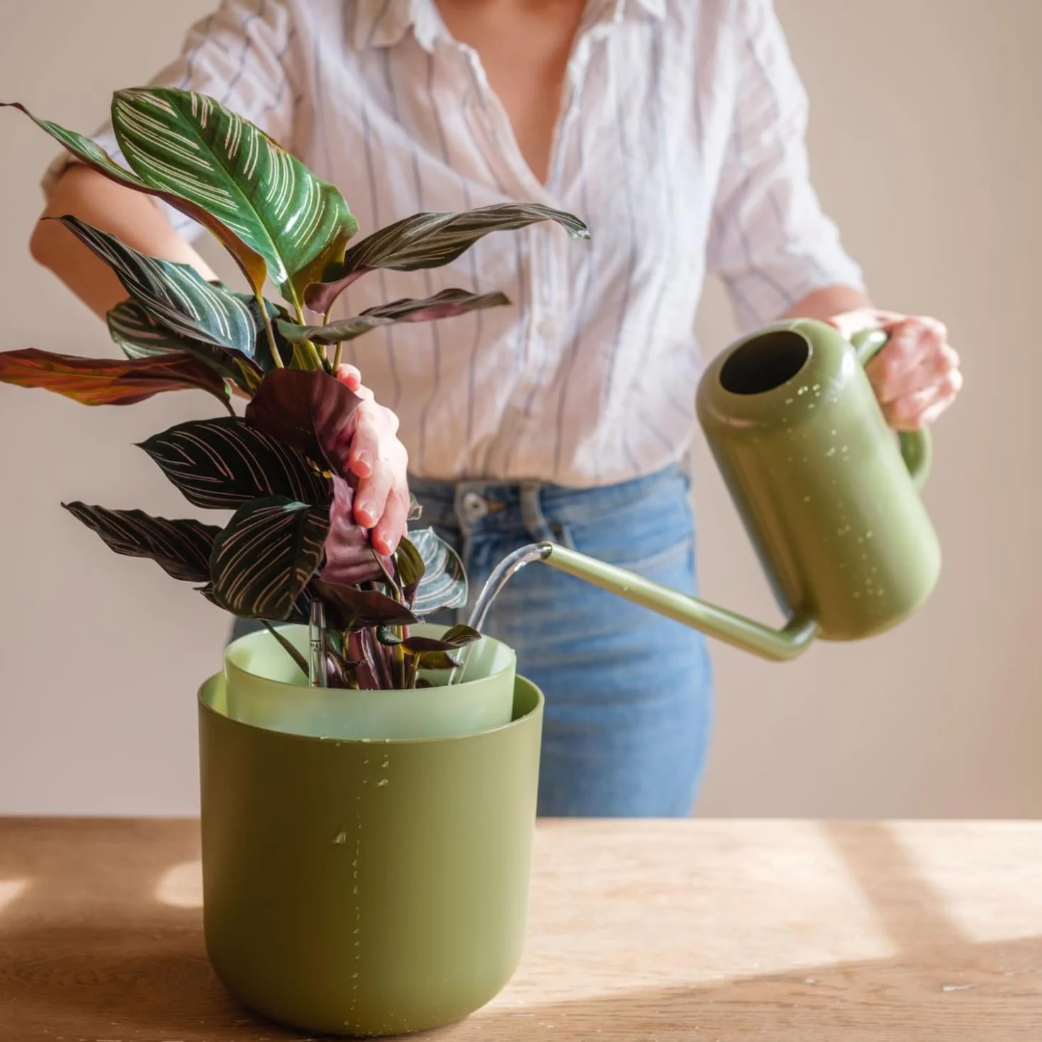 Plastia Regadera Pequeña para Plantas de Interior 1,8 L – Regadera Plantas con Pico Largo para Riego Fácil – Regaderas Jardín de Plástico Reciclado, Marfil