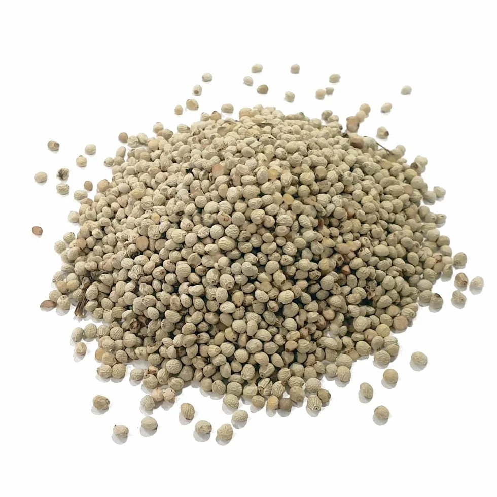 Perilla Blanca, alimento para Aves granivoras Canarios, jilgueros, gorriones Sunseed 200g