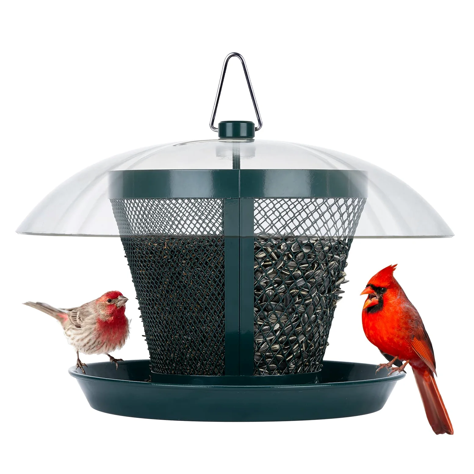 Kingsyard Comedero para Aves, Alimentador de pájaros para alimentador de aves silvestres de malla metálica exterior con alimentadores dobles para Finch, Cardinal