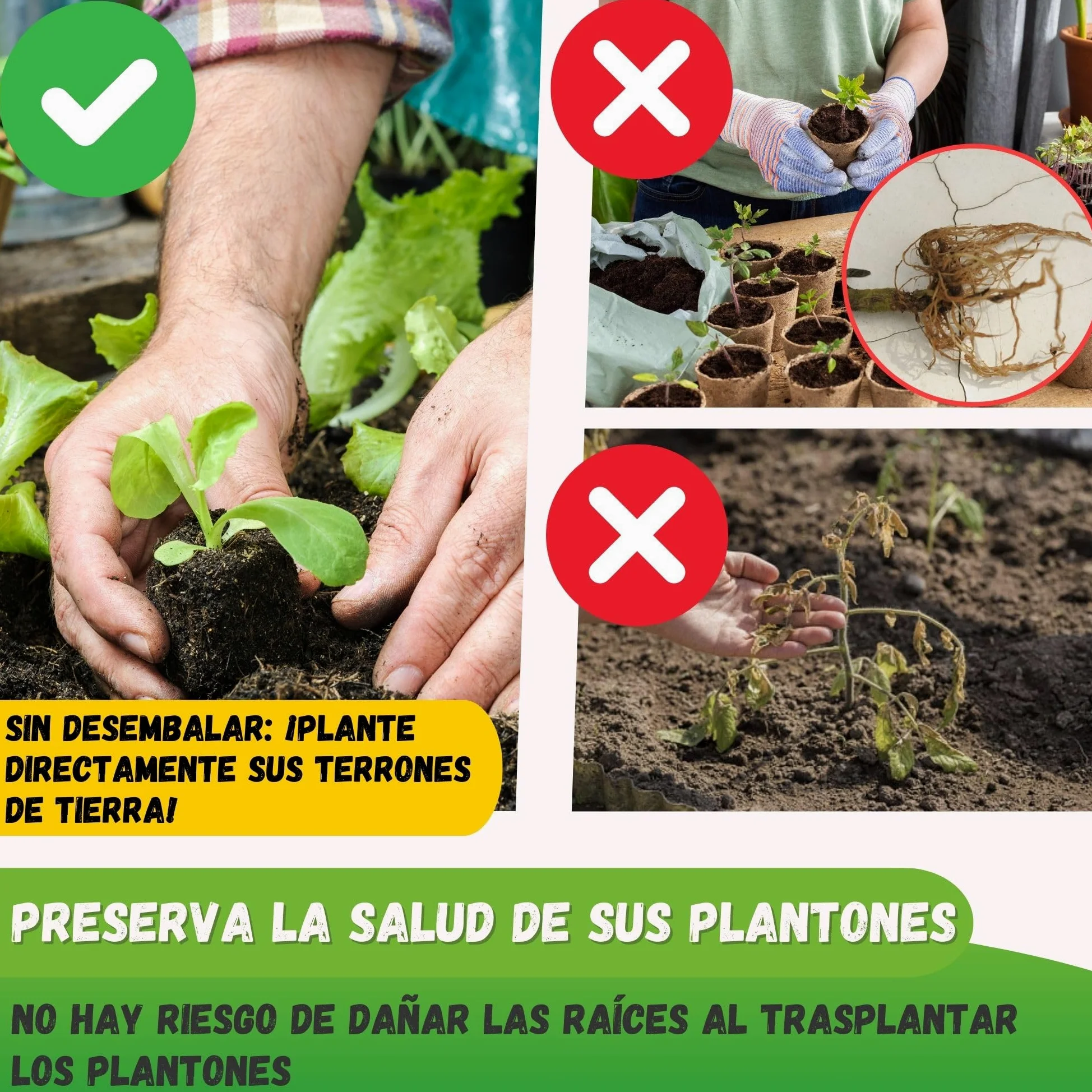 Jarden Bloqueador de Suelo Manual Profesional – 4 Bloques de 5x5 cm – Prensador de Terrones de Acero Inoxidable