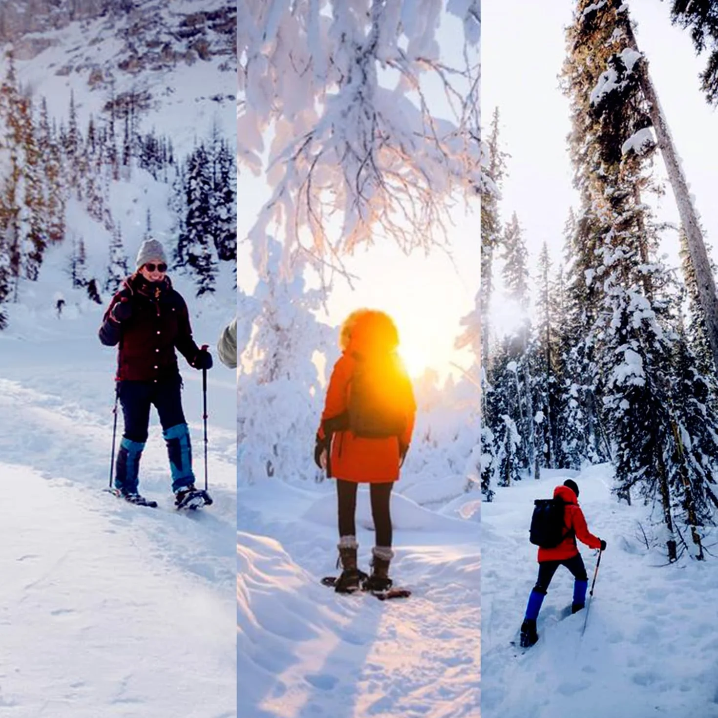 Raquetas de Nieve 3 en 1 Ligeras con Bastones de Trekking y Bolsa de Transporte
