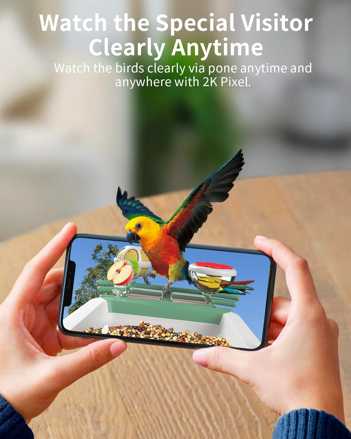 Comedero para pájaros con cámara, cámara inteligente 2K para pájaros con energía solar, identificación de especies de pájaros, notificaciones instantáneas, regalo ideal para familiares y amantes de