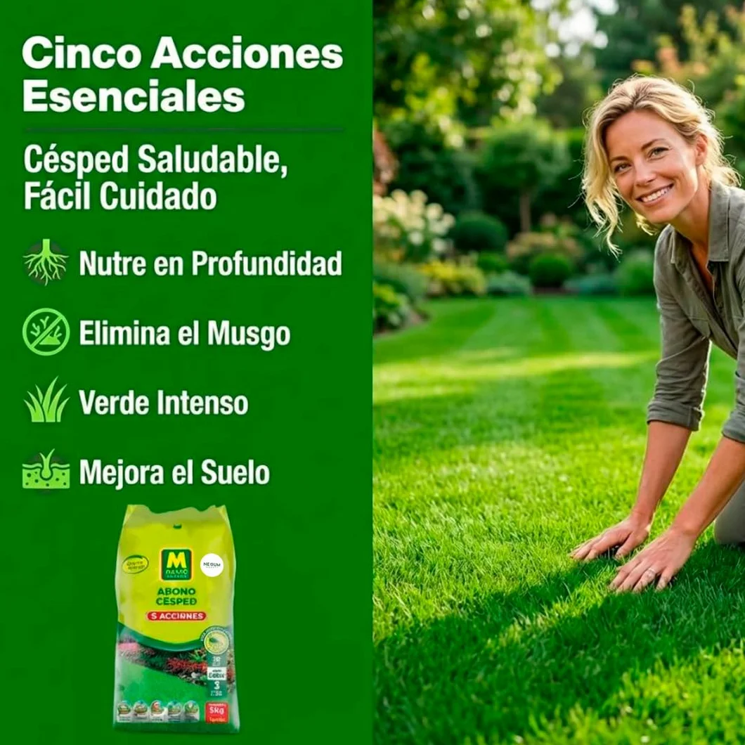 Abono Césped Granulado con 5 Acciones | Aplicación Directa a Mano de Liberación Lenta | Revitaliza y Mantiene Césped | Anti-Musgo, Reverdecedor y Fertilizante | Nexum Market (6 KG)