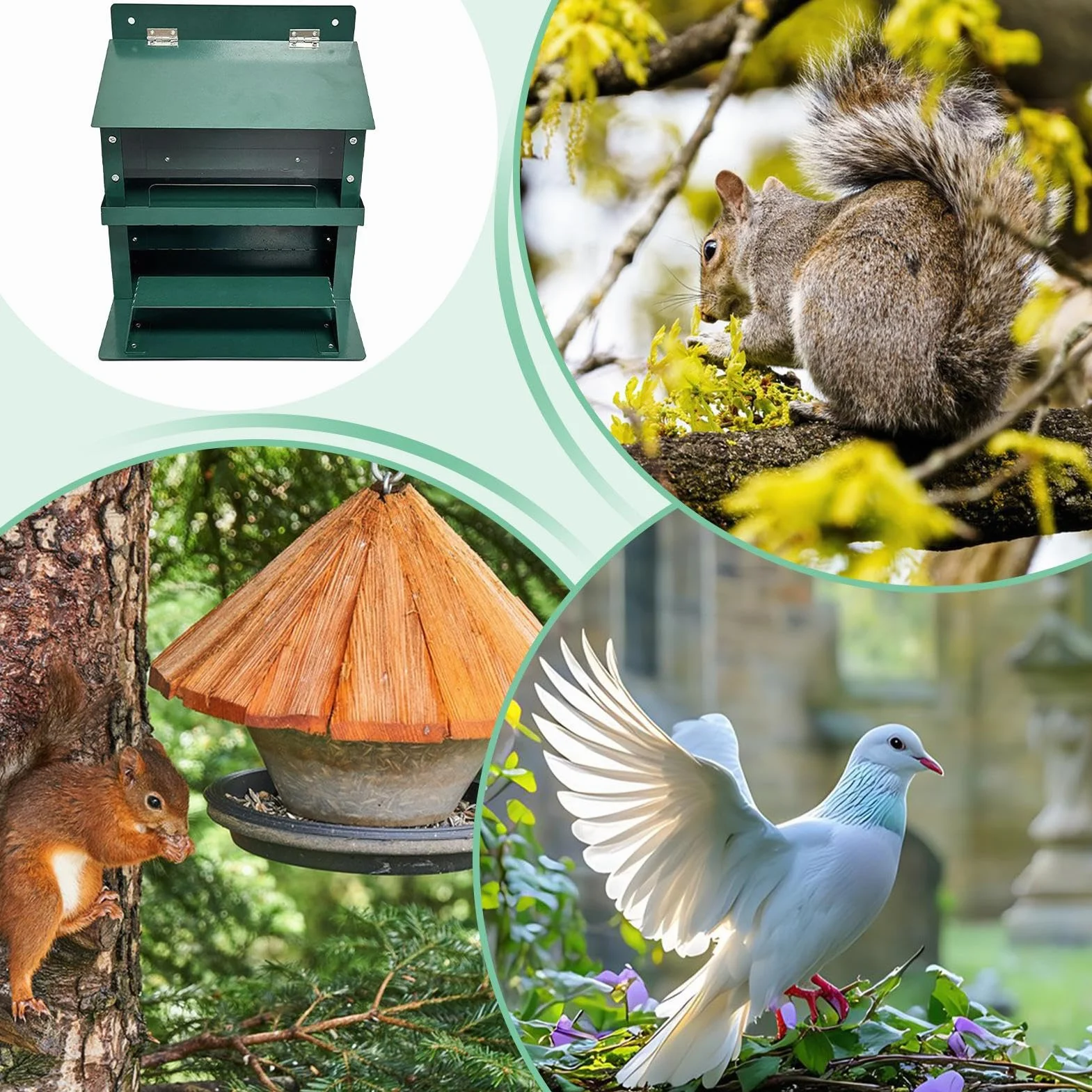 Casita para Ardillas | Casa para Ardillas A Prueba de Invierno,Suministro De Comida Invierno Observación Naturaleza Alimentación Fauna Decoración Jardín Aves Parques Amantes Animales