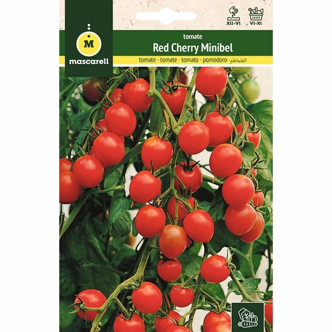 Mascarell Semillas, TOMATE, Semillas Huerto, TOMATE RED CHERRY, Crea tu Propio Huerto Urbano y Cultivo en Casa, Plantas Hortícolas, 1 Gramos