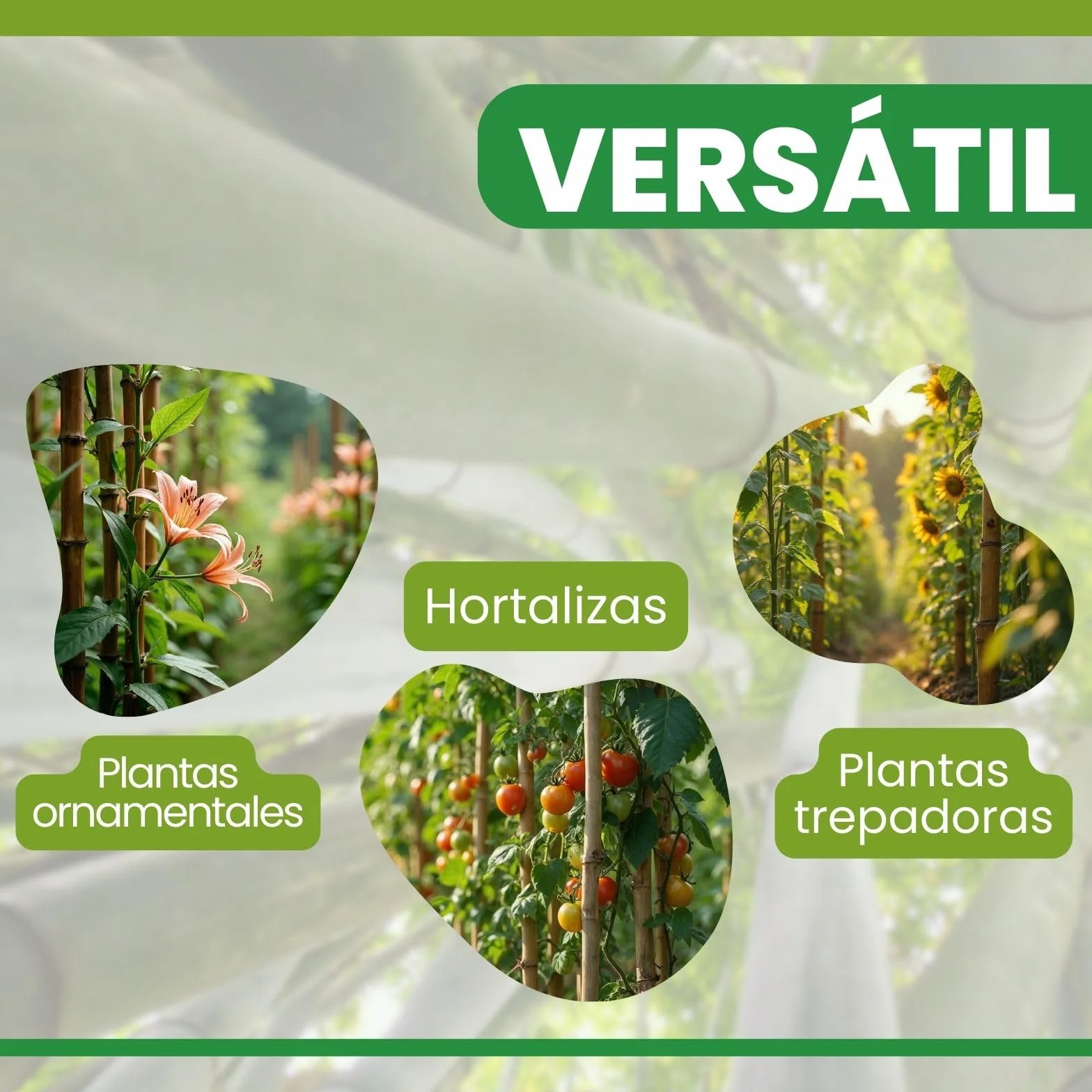 PLANTAWA Tutores de Bambú 90 cm Paquete 25 Unidades Ø 10-12 mm | Soporte para Plantas, Hortalizas, Tomates y Tomateras | Tutores para Plantas de Instalación Fácil. Cañas de bambú Resistentes