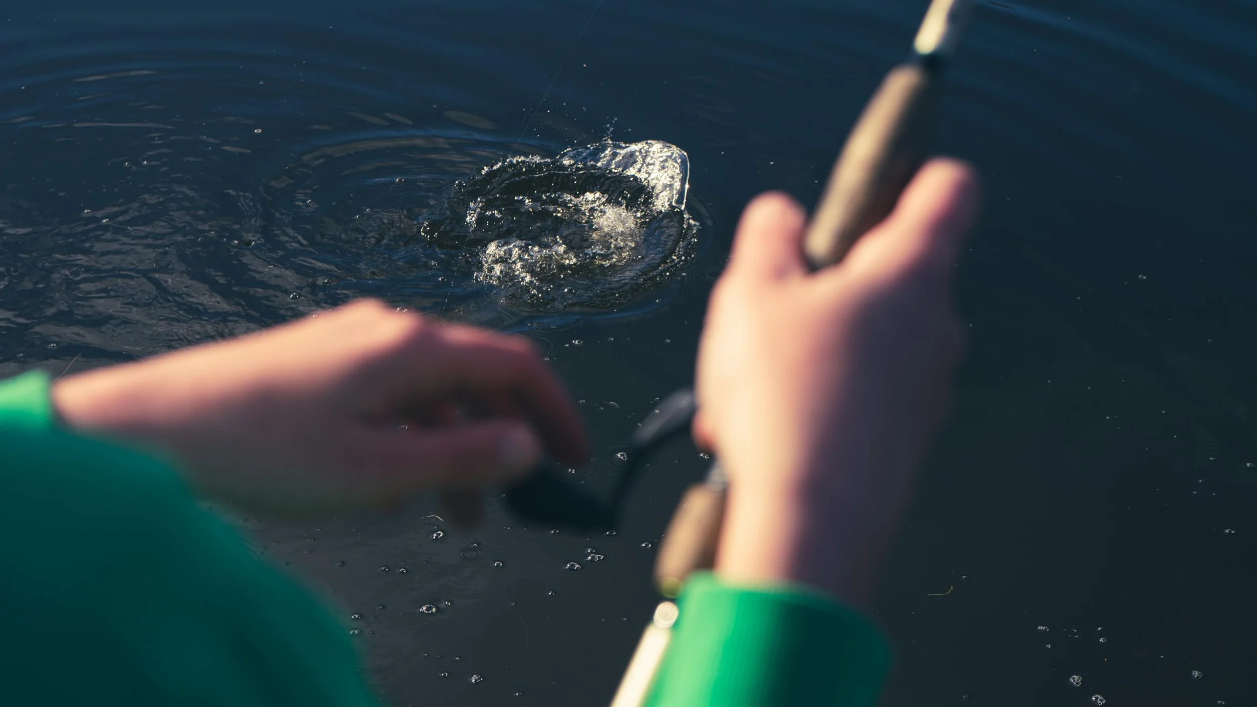Mitchell Epic Caña de Pescar Fibra de Carbono Ligera Agua Dulce Salada Acción Rápida Lubina Trucha Lucio 2 Opciones