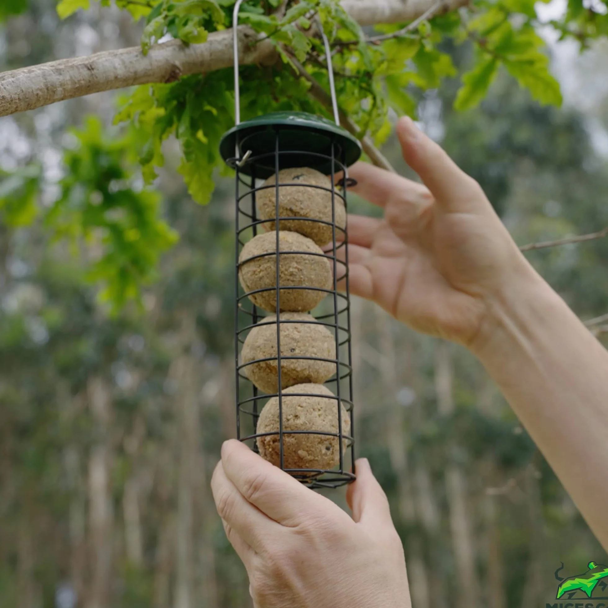 Mice&Co Bolas Grasas Comida Pájaros - Bolas de Sebo Aves Silvestres | Suet Balls Semillas Pienso Aves - 16 Unidades