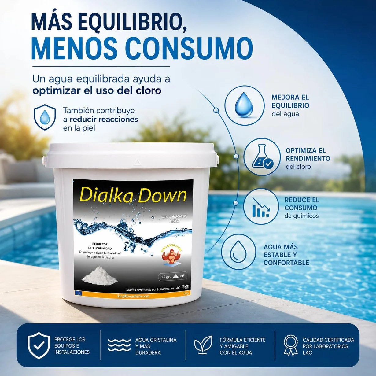 Dialka Down 5KG Reductor de alcalinidad para la Piscina y el SPA (5 kg)