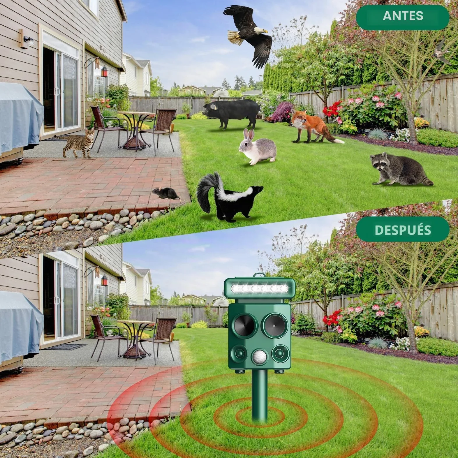 Repelente para Gatos, Ahuyentador de pájaros, IP65 Impermeable, disuasión Solar ultrasónico, Ahuyentador de Ratas con LED Intermitentes, Perros, Ratones, Zorros