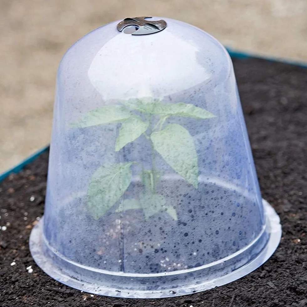 TopHomer Paquete de 10 campanas de jardín – 26 x 21 cm, cubierta transparente para campana con 10 etiquetas para plantas y 18 clavijas, protector de congelación para calentar plantas en crecimiento