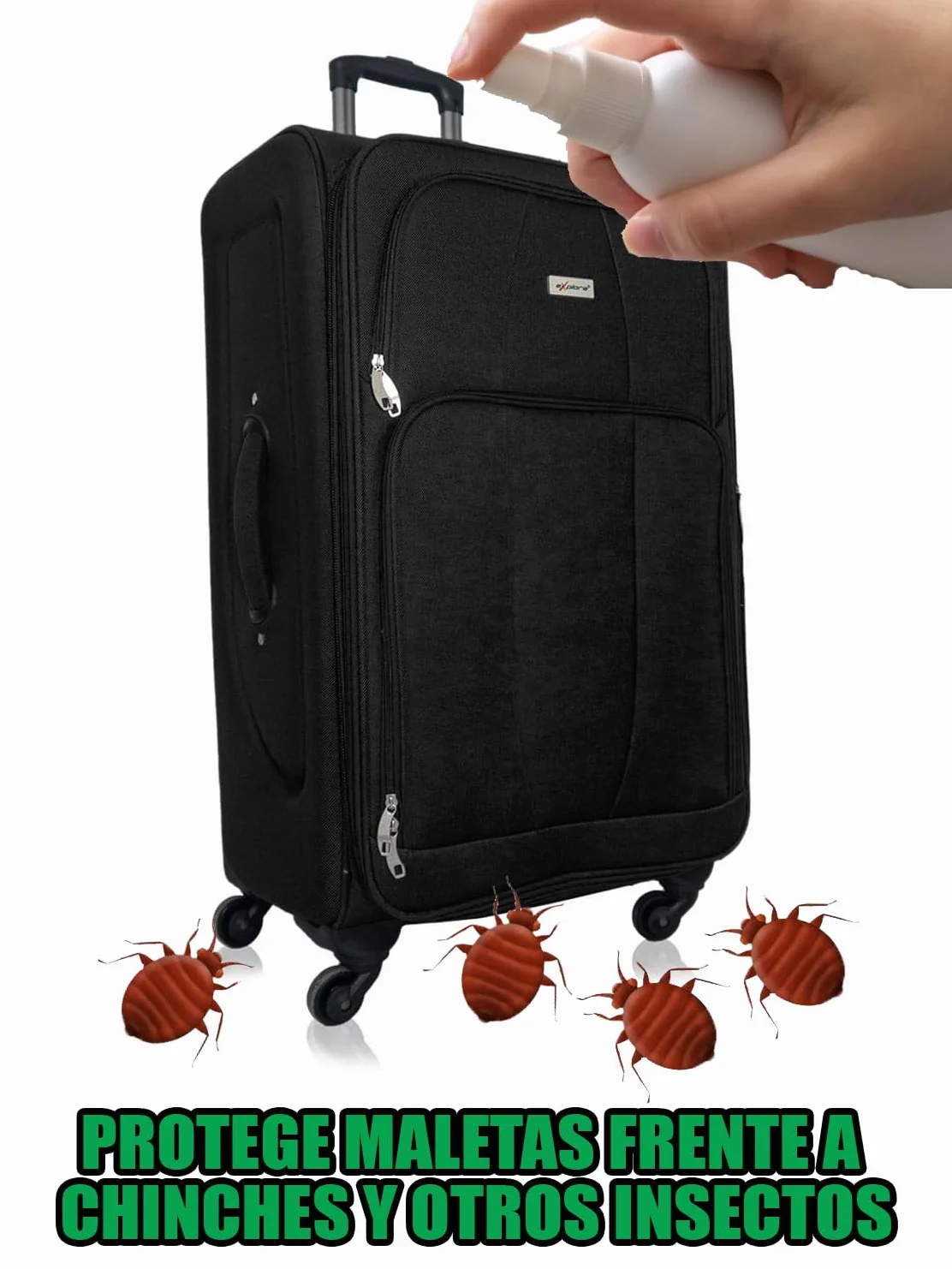 ACETAMIPRID Spray Anti Ácaros y Anti Chinches e Insectos en Tejidos | Insecticida para Maletas de Viaje | Persistencia de 6 meses | 250ml