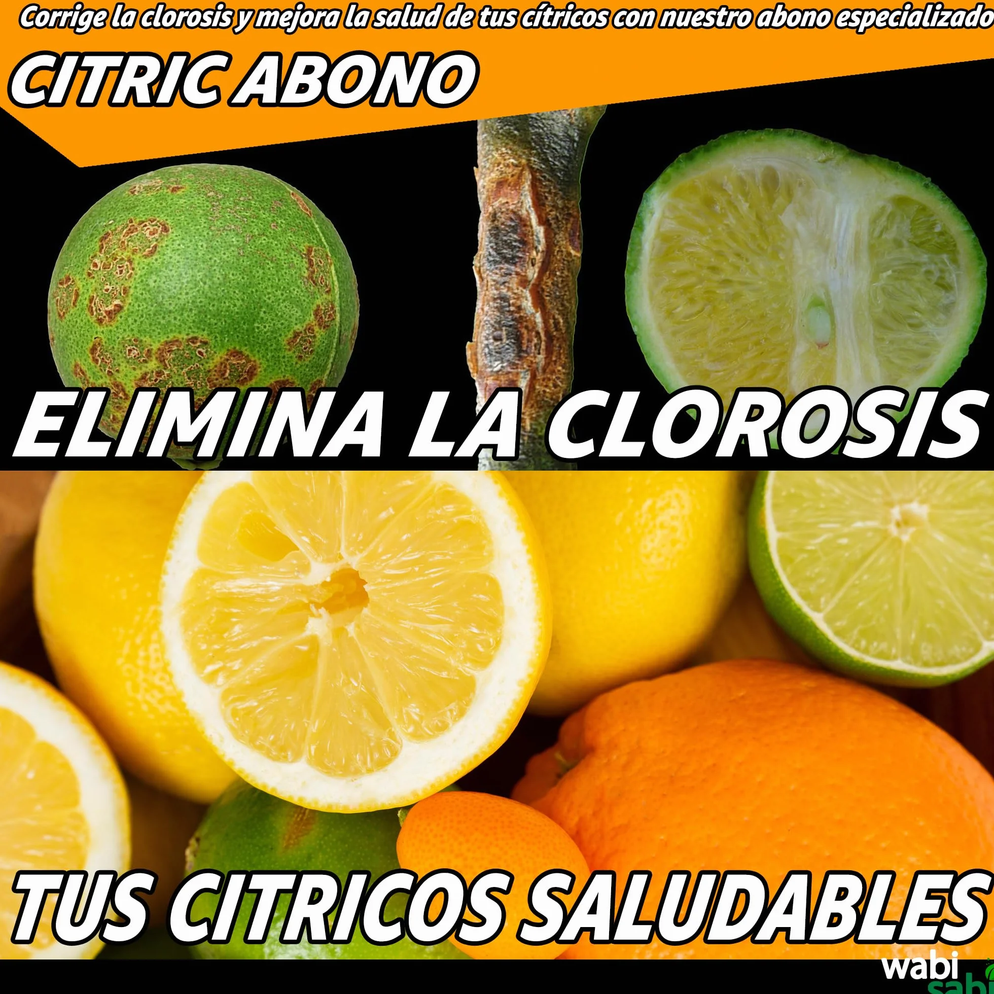 CITRIC ABONO Abono para Cítricos Premium NPK 20-5-10, Hierro, Calcio y Micronutrientes - Mejora Frutos, Fortalece Raíces y Evita Amarillamiento - Ecológico y Orgánico (7kg)