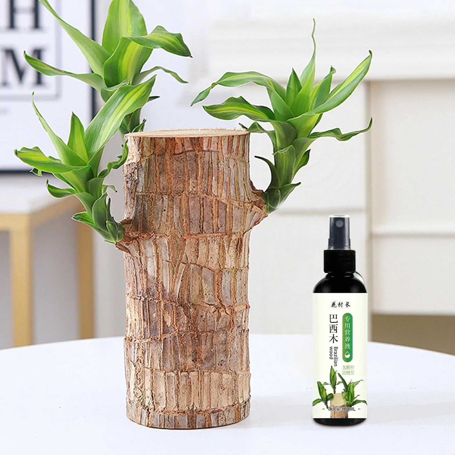 Alimento para plantas de madera brasileña, fertilizante líquido de bambú de 100ml, fertilizante para plantas de interior de madera brasileña de la suerte, fertilizante líquido para plantas de interior