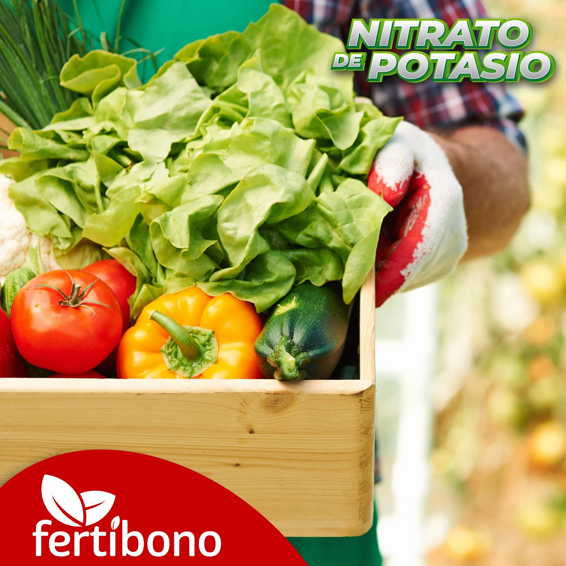 FERTIBONO, Nitrato de potasio,Puro (KNO3) 13-00-46, Huerto, Tomates, Melones,Frutales, Arboles (2,5.0)