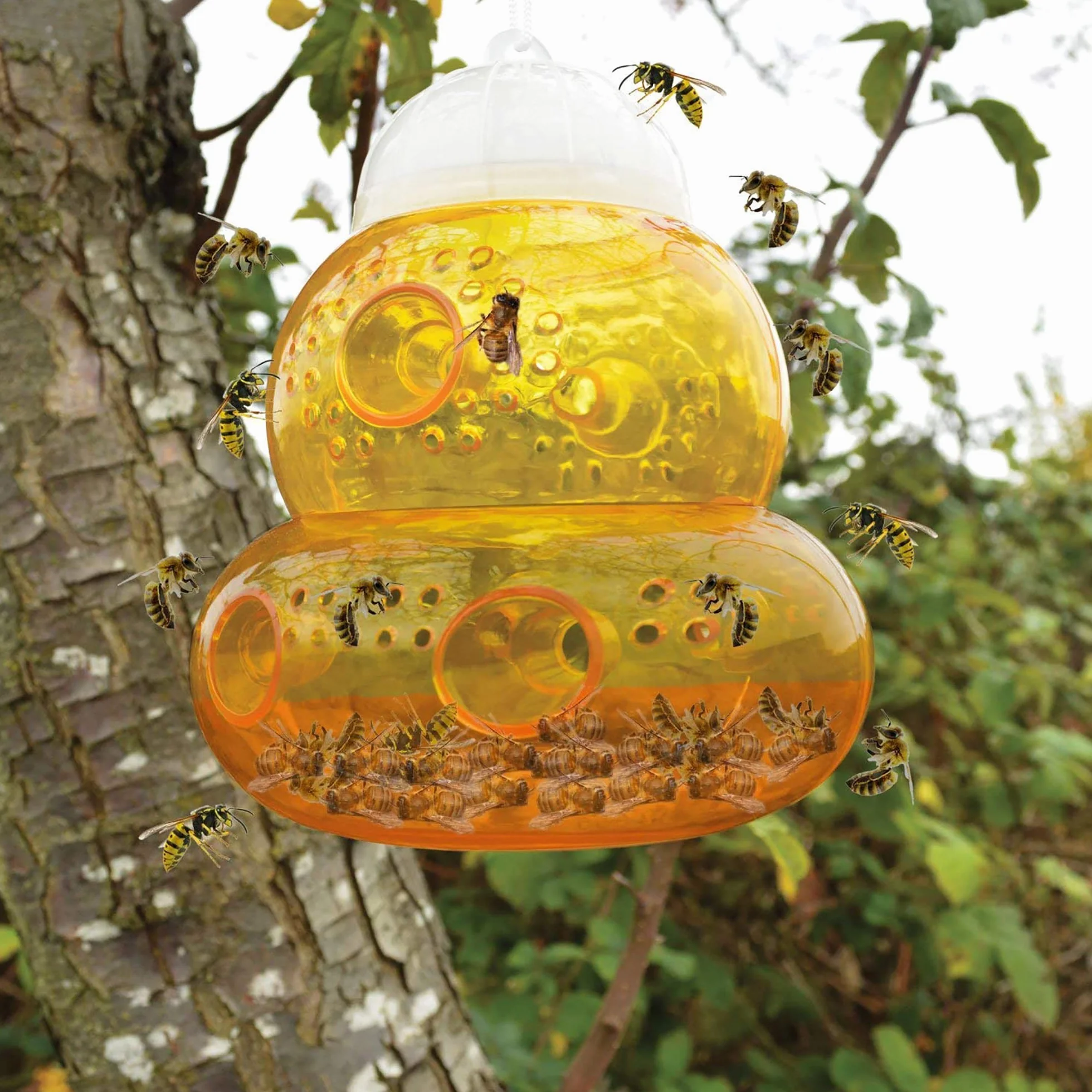 ASPECTEK Trampa para Avispas Trampa para Avispón, Abeja y Avispa Abejorro. 2 Unidades (Trampa de Abeja)