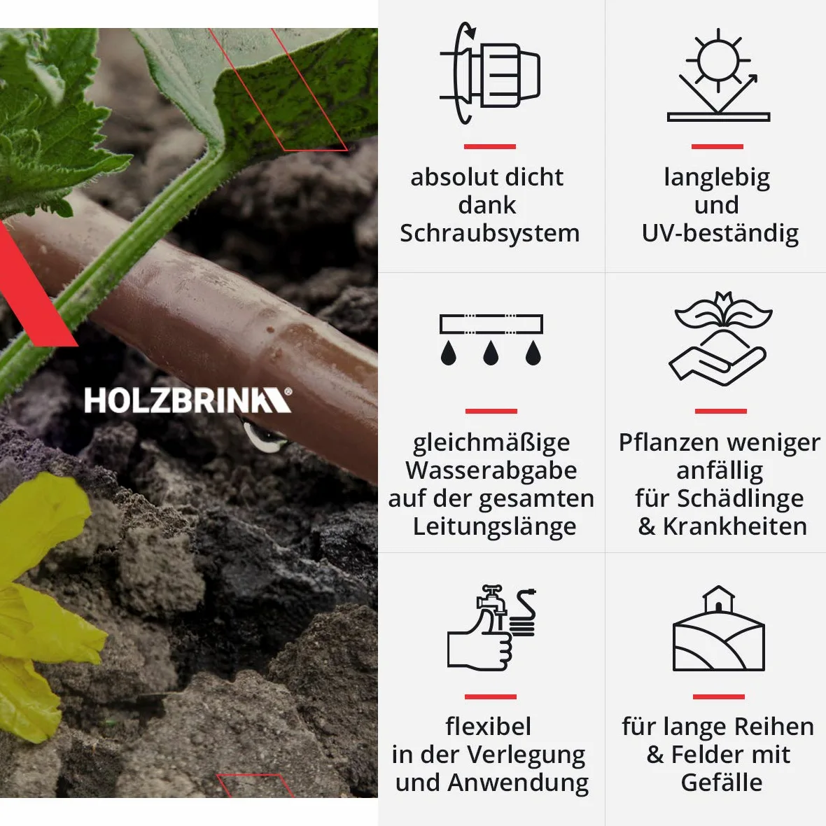 HOLZBRINK Sistema de riego por Goteo, Set para regar Thuja, línea de Goteo 50 m Profi 16 mm, 10 m de Tubo LDPE 16 mm, HTB-12-50P-10