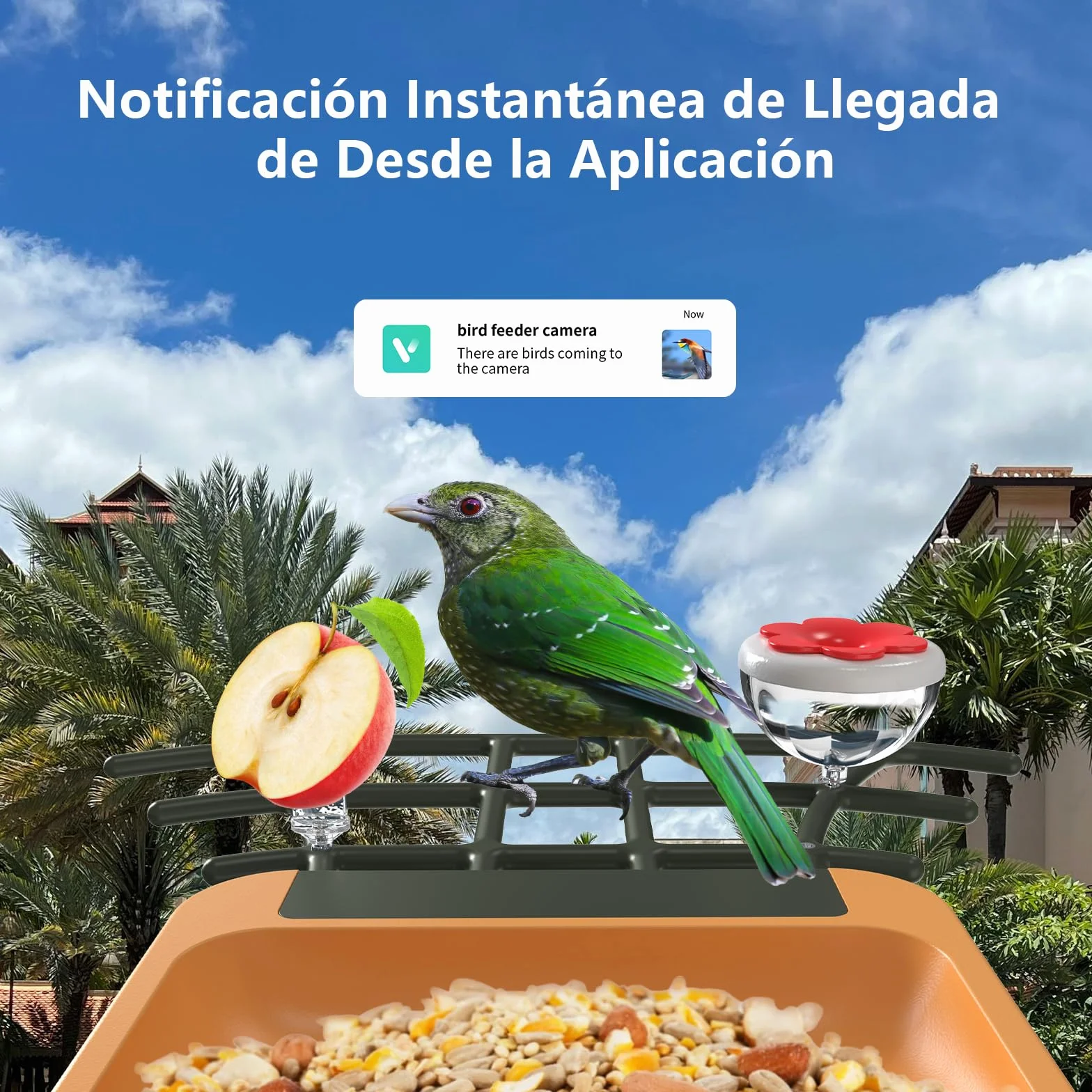 Comedero Pajaros con Cámara 2K HD AI identifica 10000+ Pájaros Solar Comedero Pajaros Exterior Notificación Instantánea Impermeable IP65 Almacenamiento en Nube Captura Automática Imagen/Videos