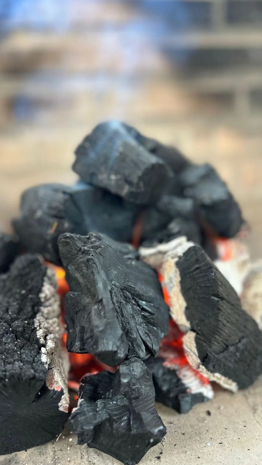Carbón 100% Encina para Barbacoa 10 kg – Sin Humo ni Aditivos, Poca Ceniza y Larga Duración – Carbón Vegetal Natural Artesanal de Encendido Rápido y Alto Poder Calorífico